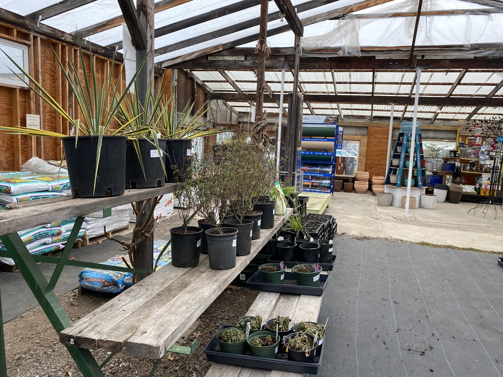 13th Street Nursery
