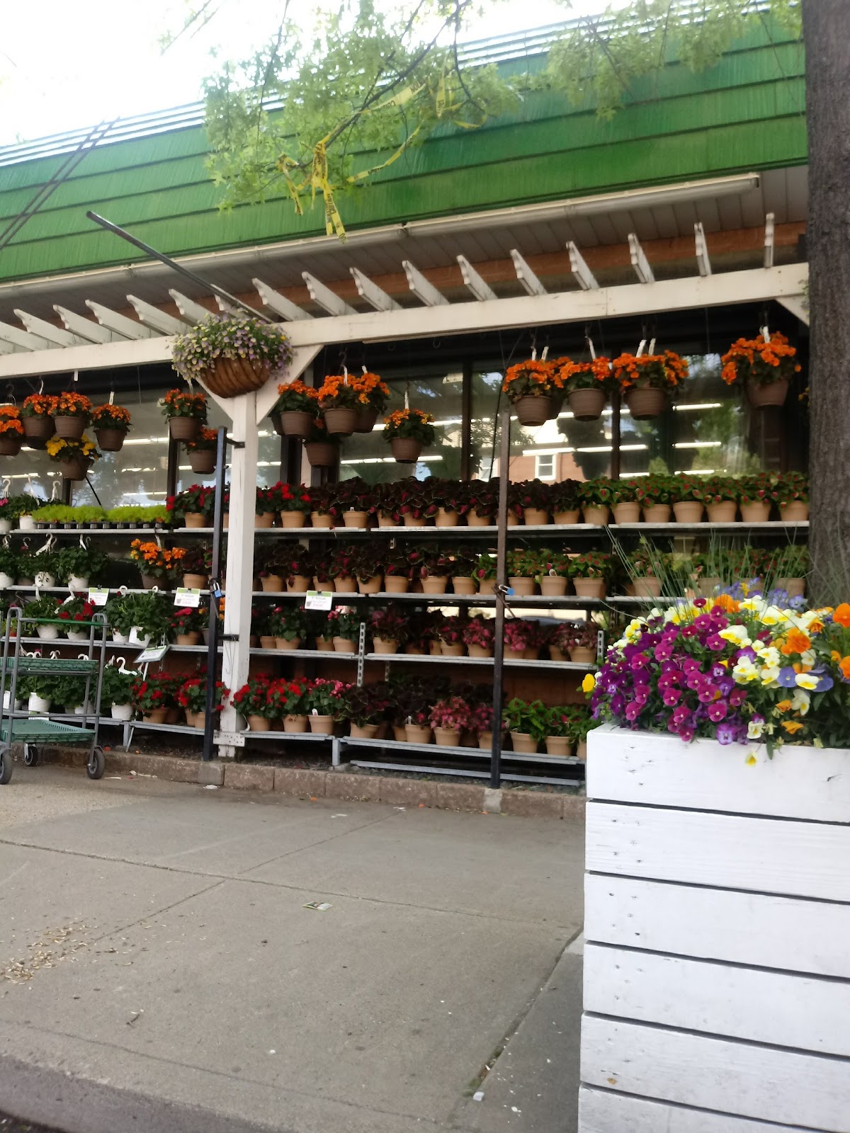 14th Street Garden Center