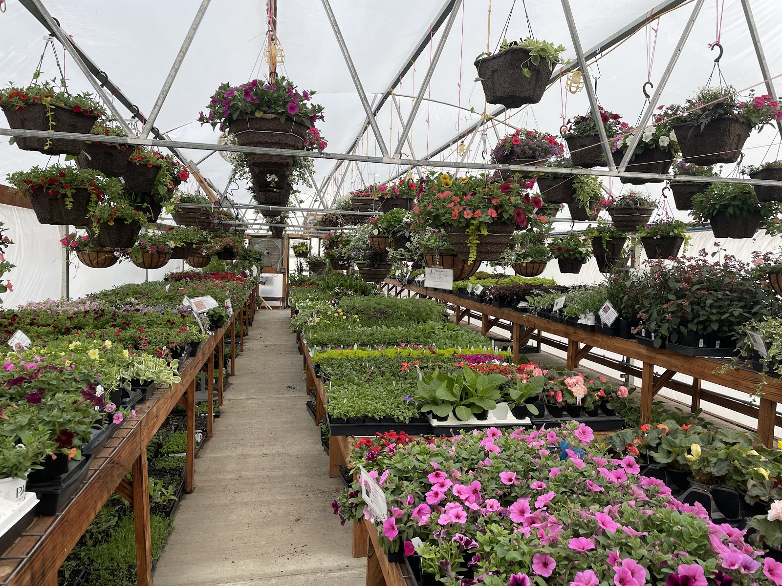 3 Sisters Greenhouse