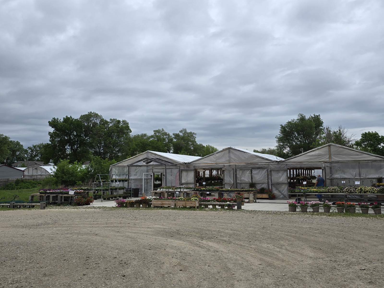 5-H Greenhouses