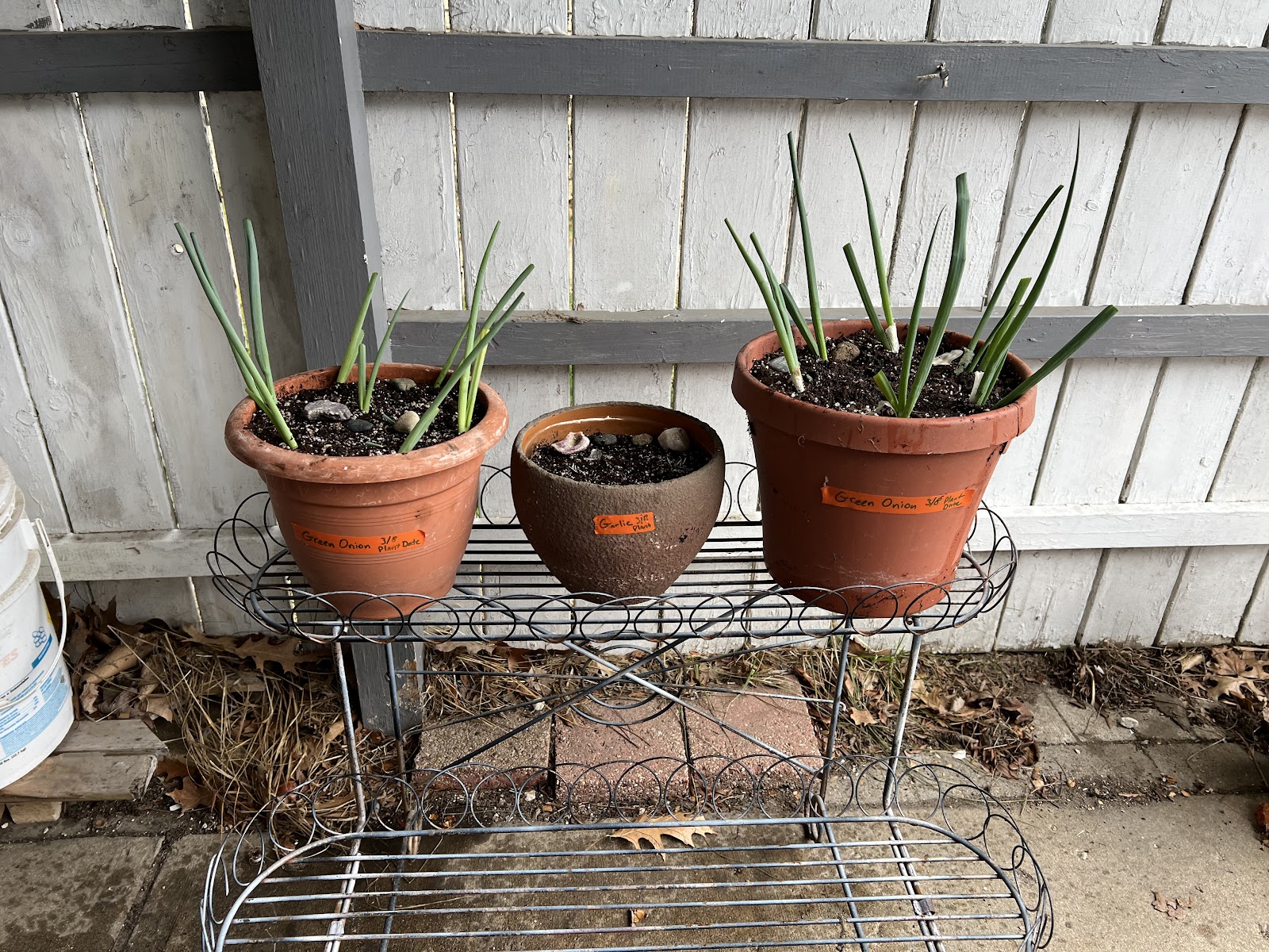 815 Gardens