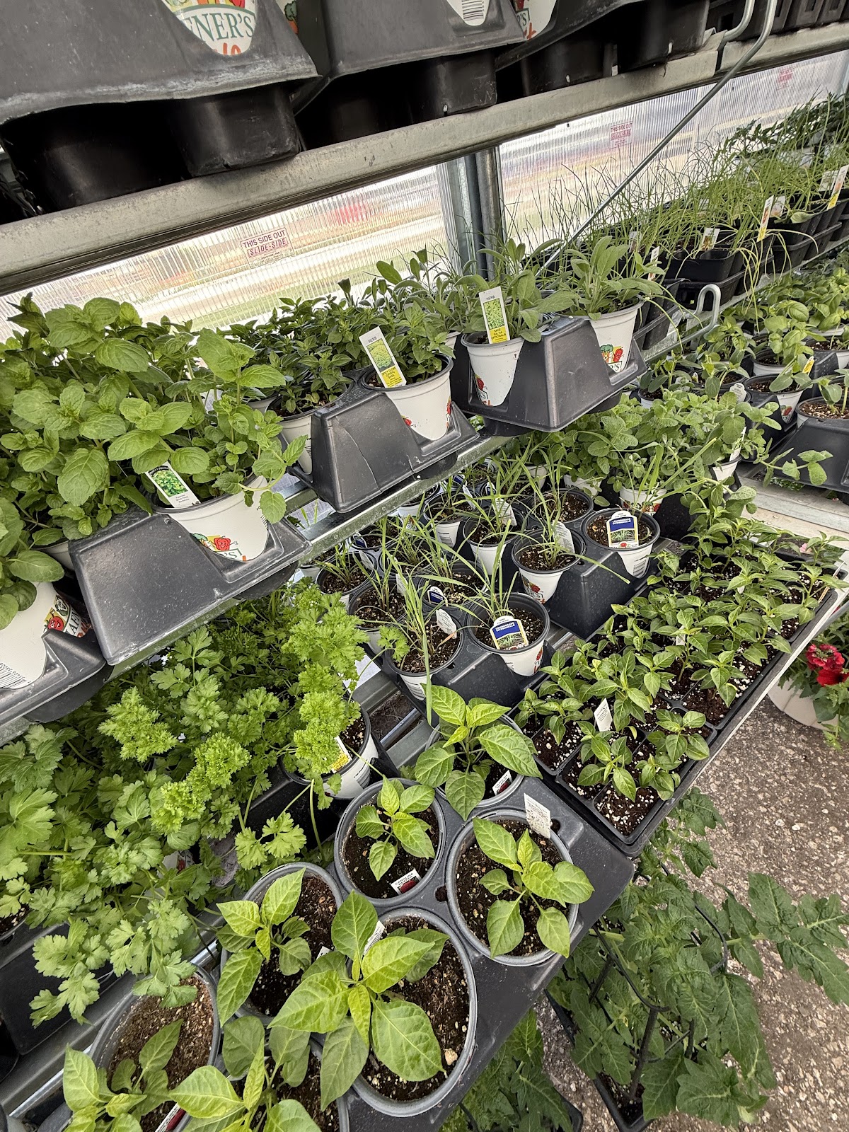 A&L Greenhouse