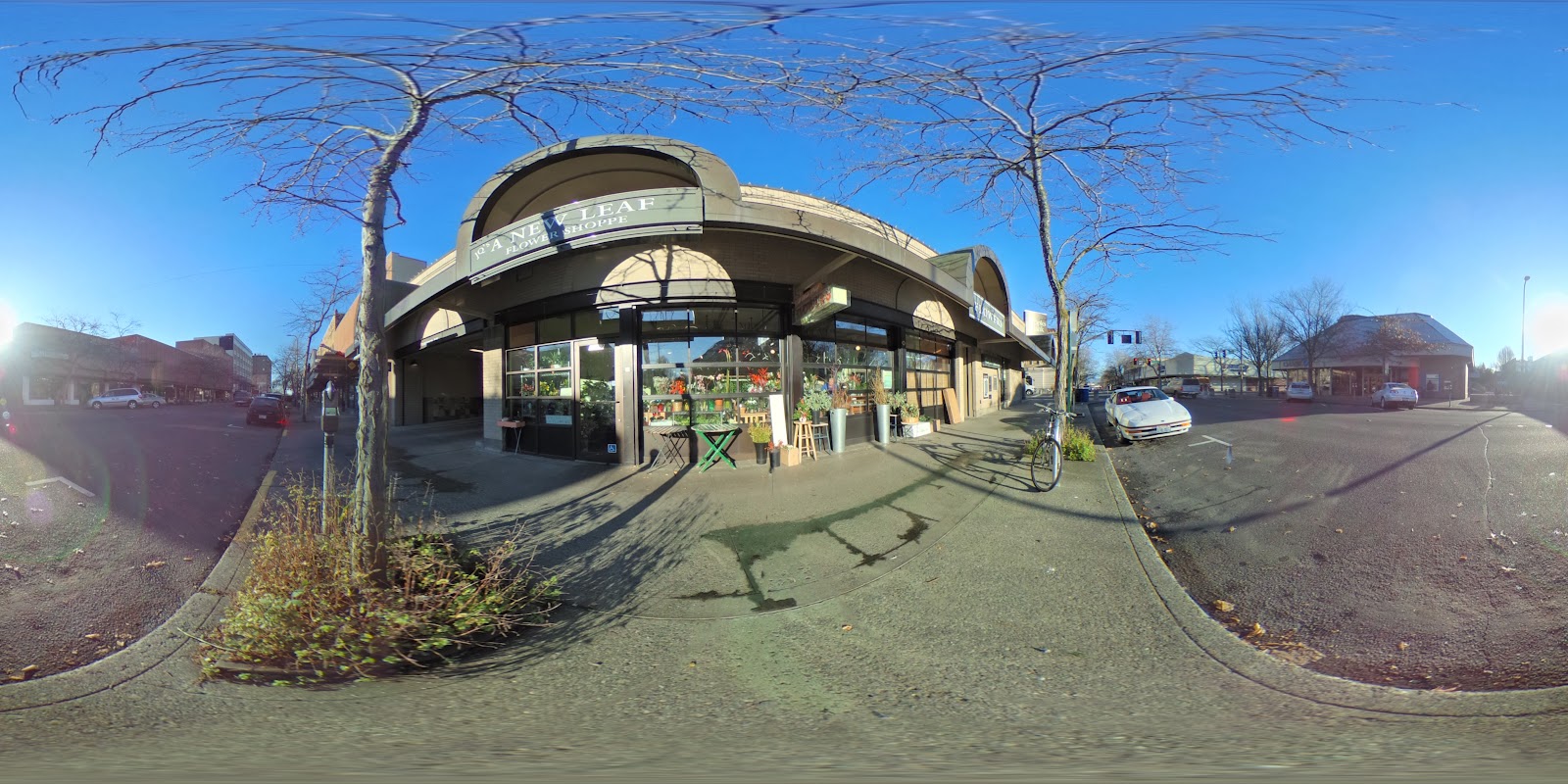 A New Leaf Flower Shoppe