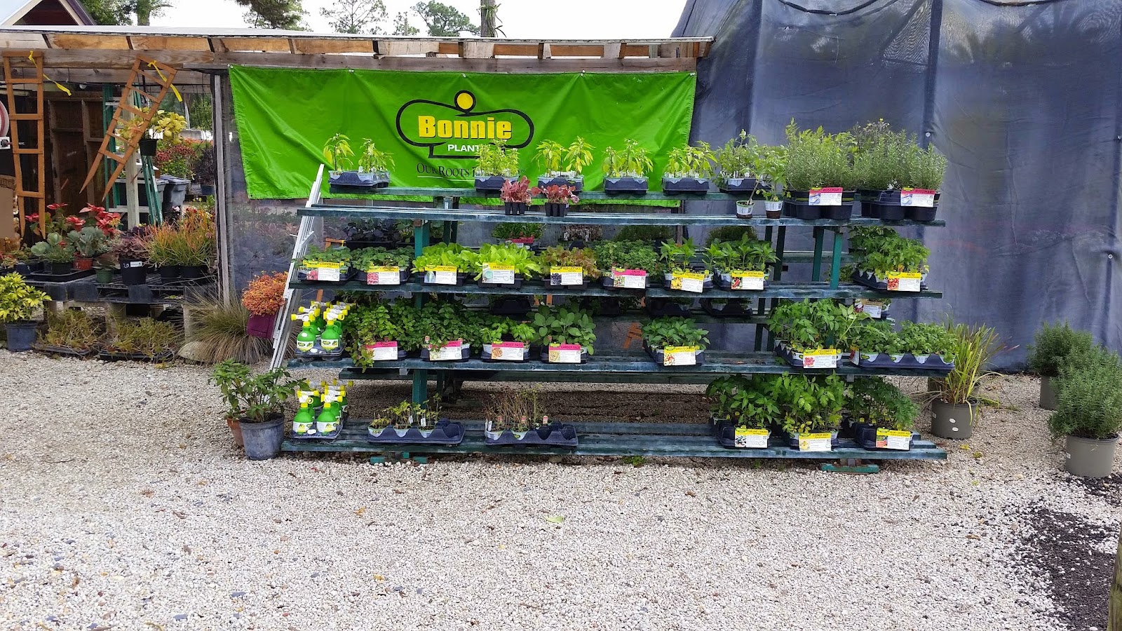 A One Stop Garden Shop Inc.