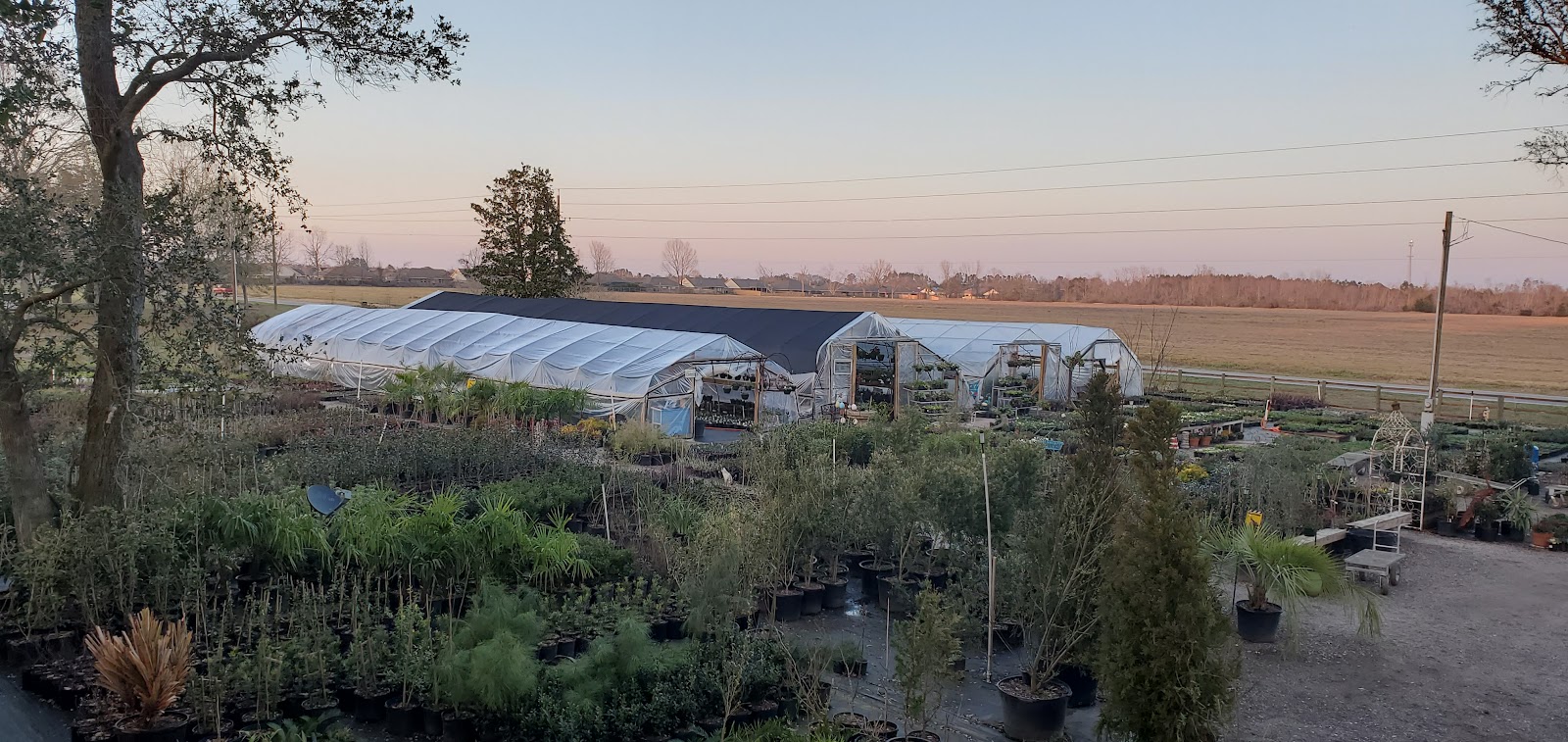 Abbott's Greenhouse