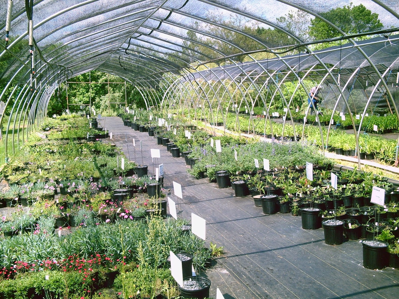 Abernethy & Spencer Greenhouse and Garden Center
