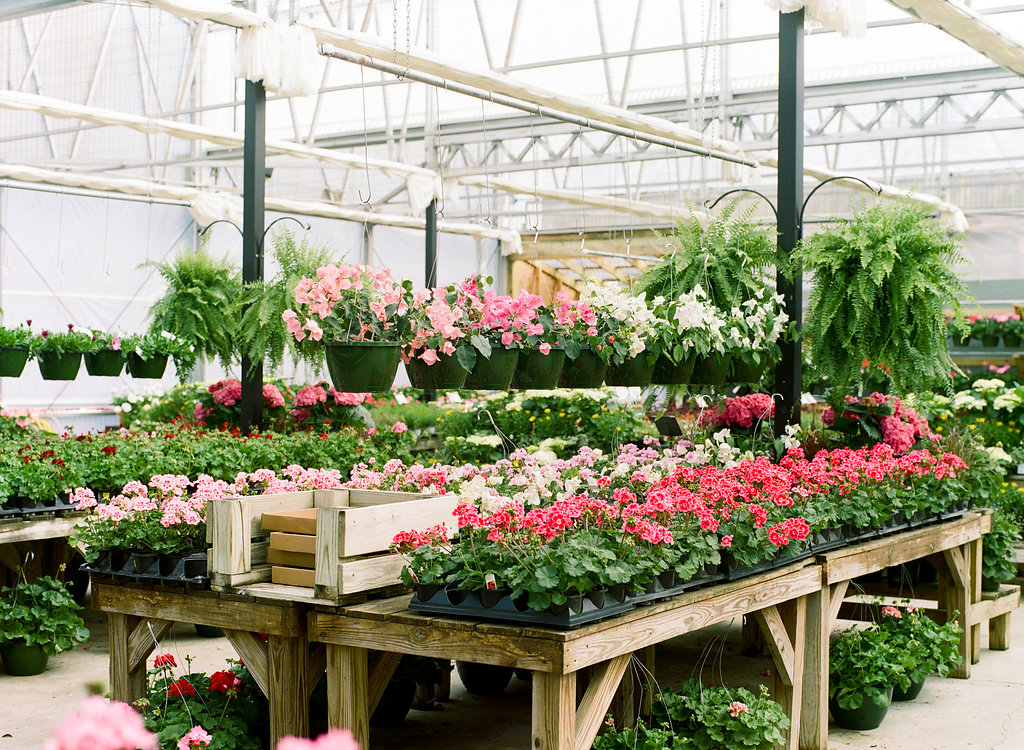 Abide A While Garden Boutique
