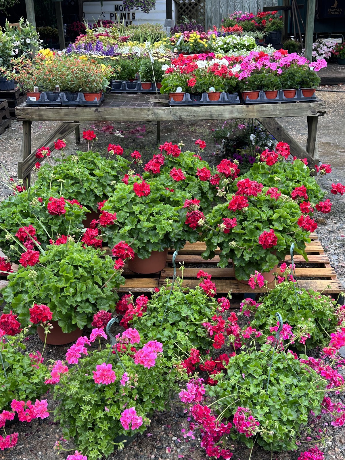 ABS Greenhouses