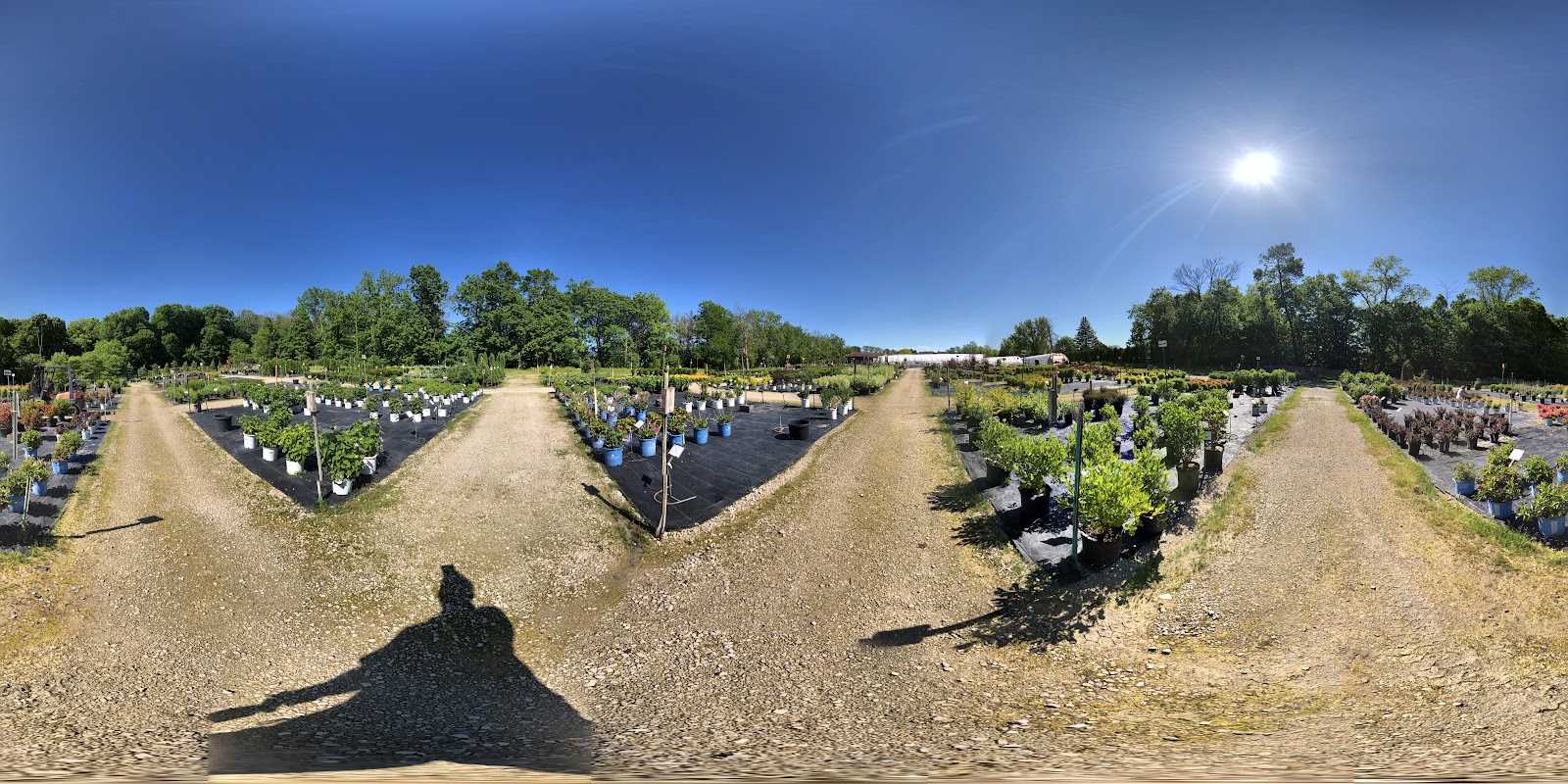 Action Garden Center and Greenhouse.
