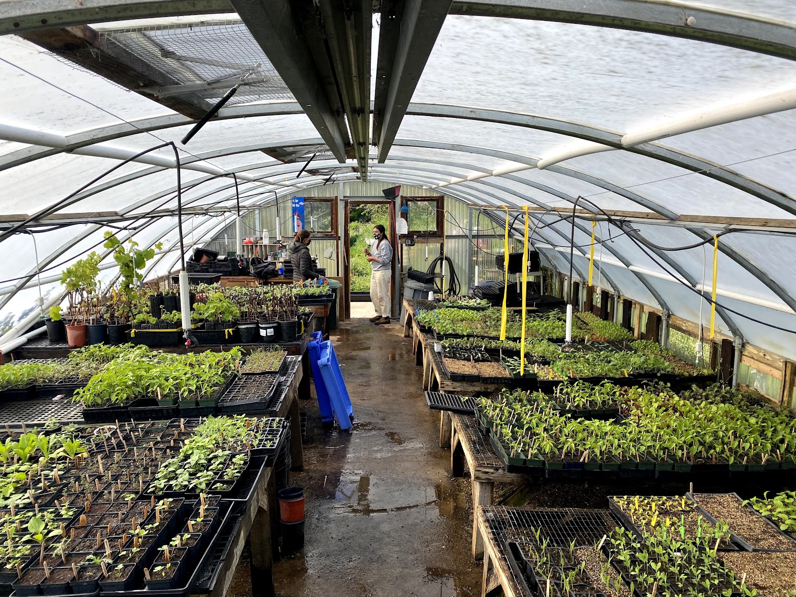 Alemany Farm