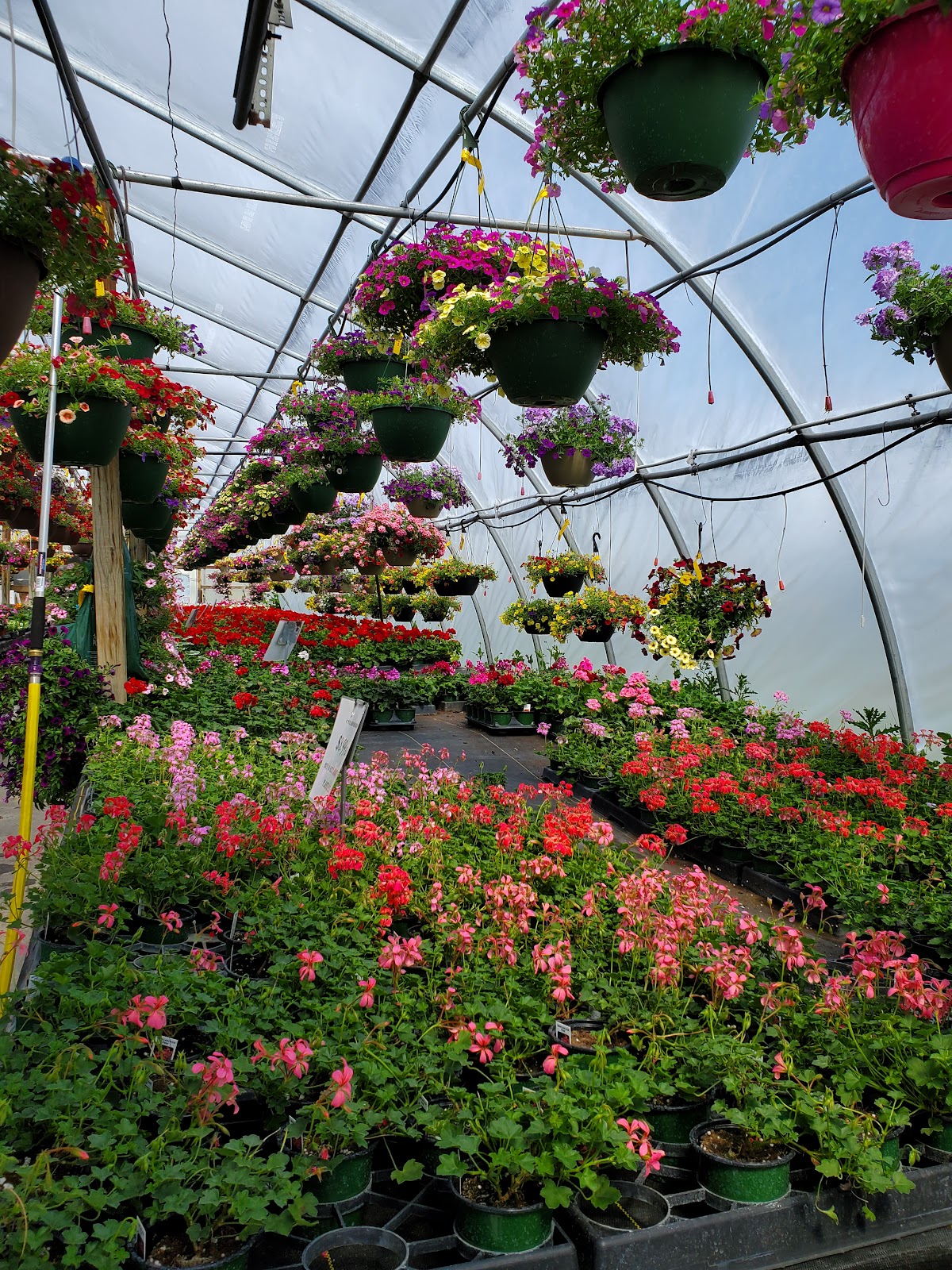 Alexander Farm Market & Greenhouses