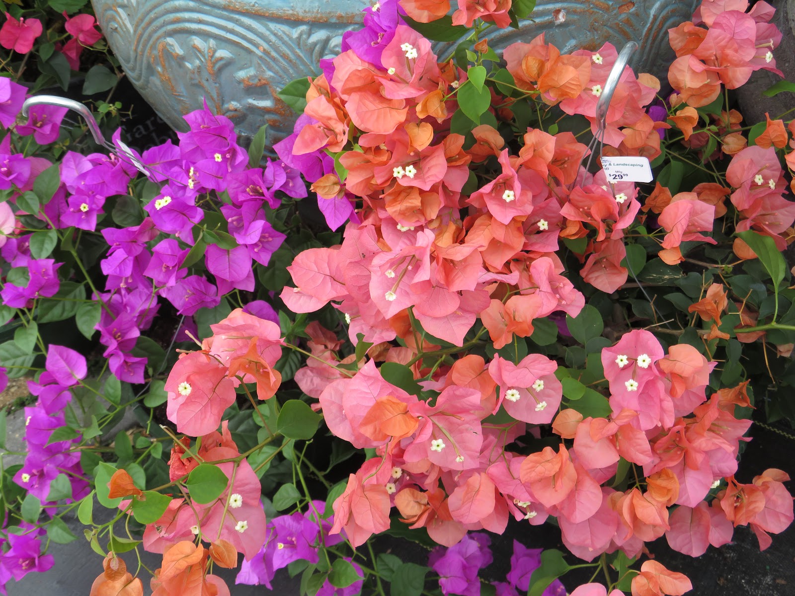 All Seasons Nursery & Landscaping, Inc