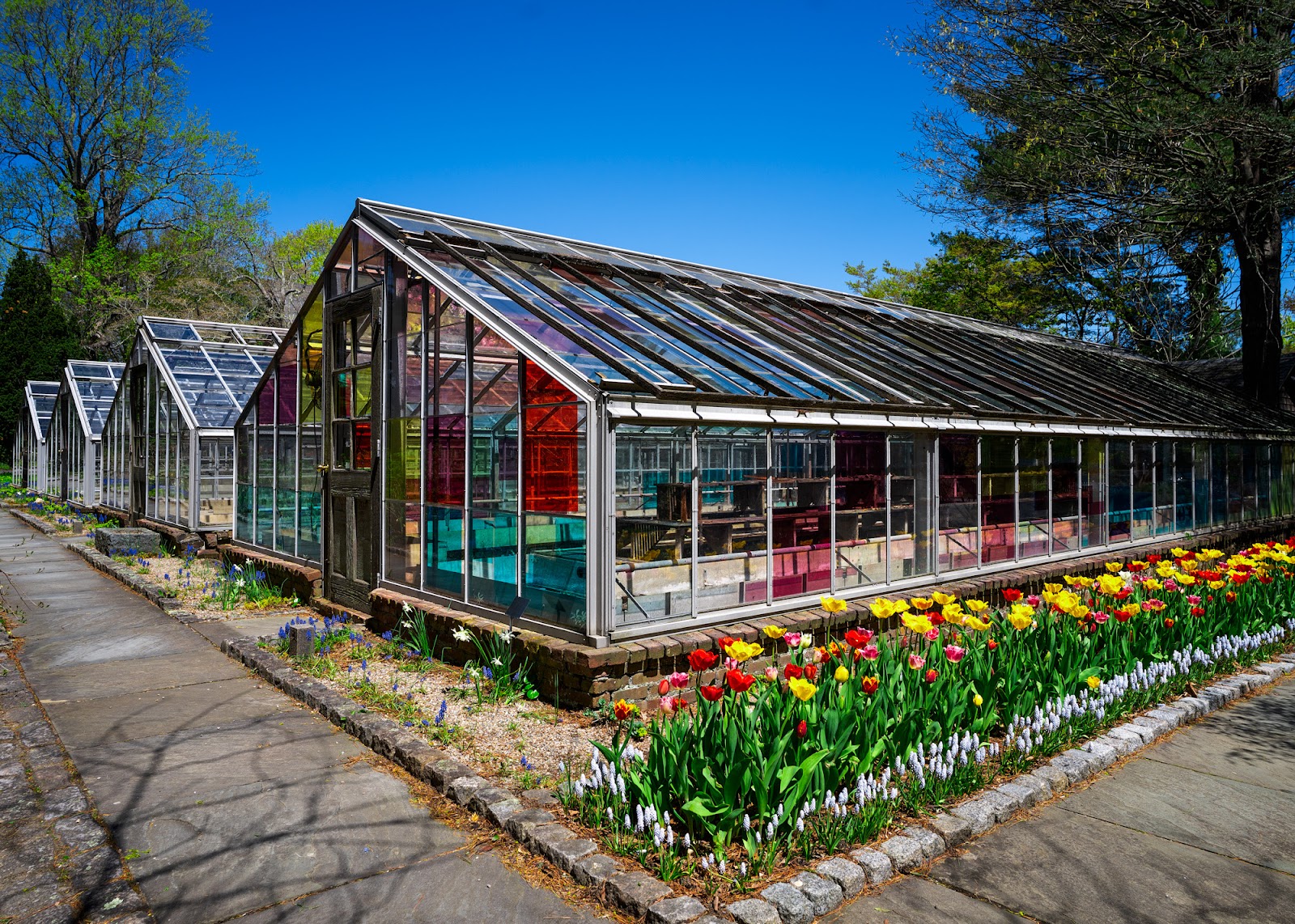 Allen C. Haskell Public Gardens