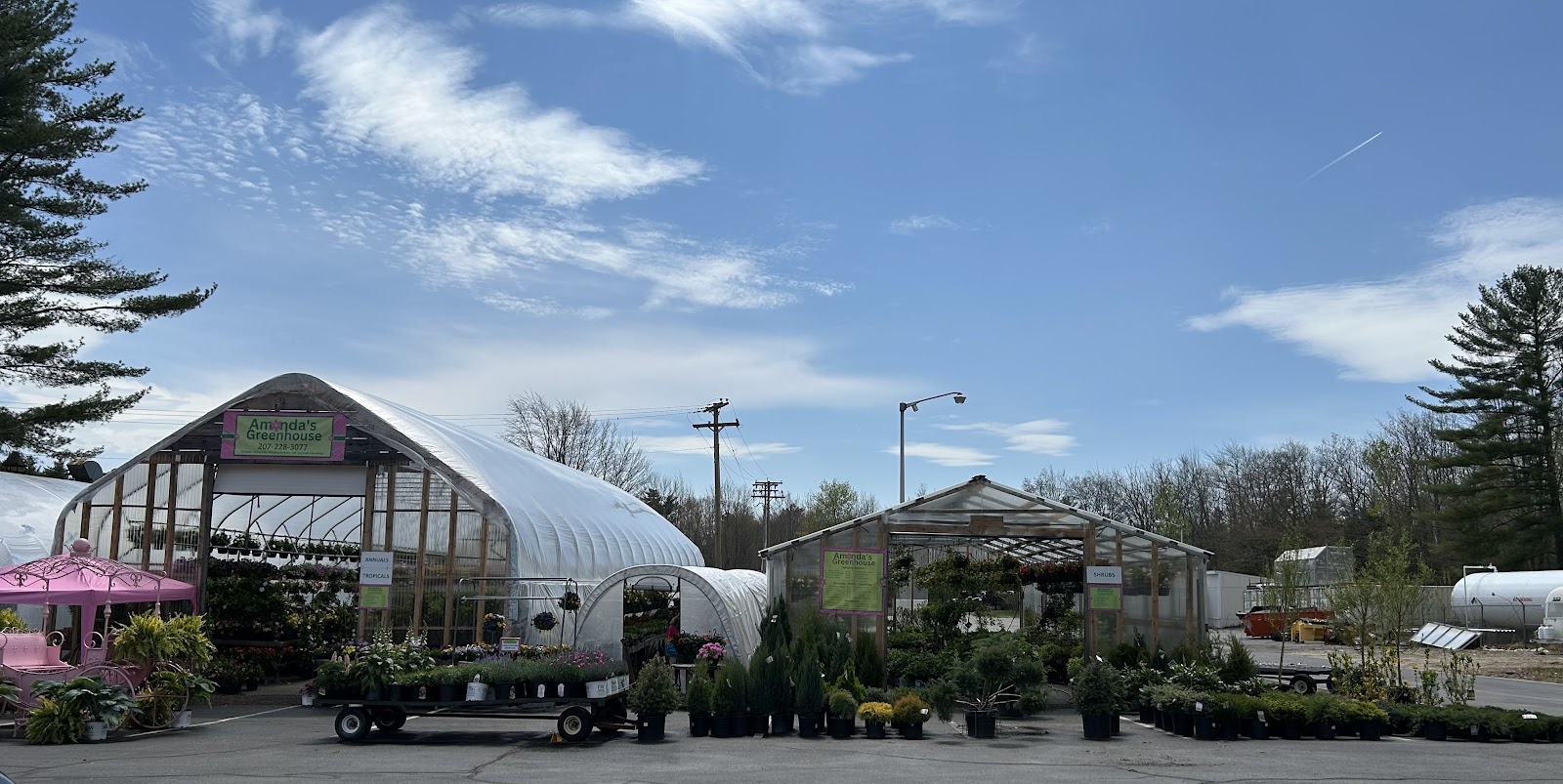 Amanda's Greenhouse