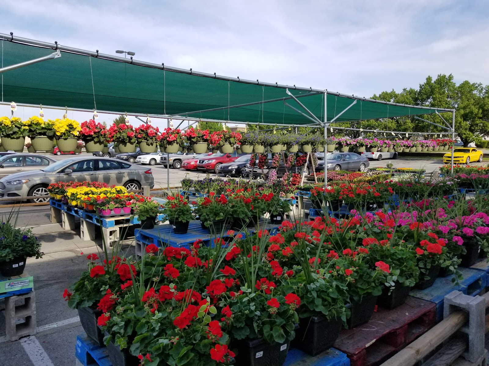 Andy Mast Greenhouse