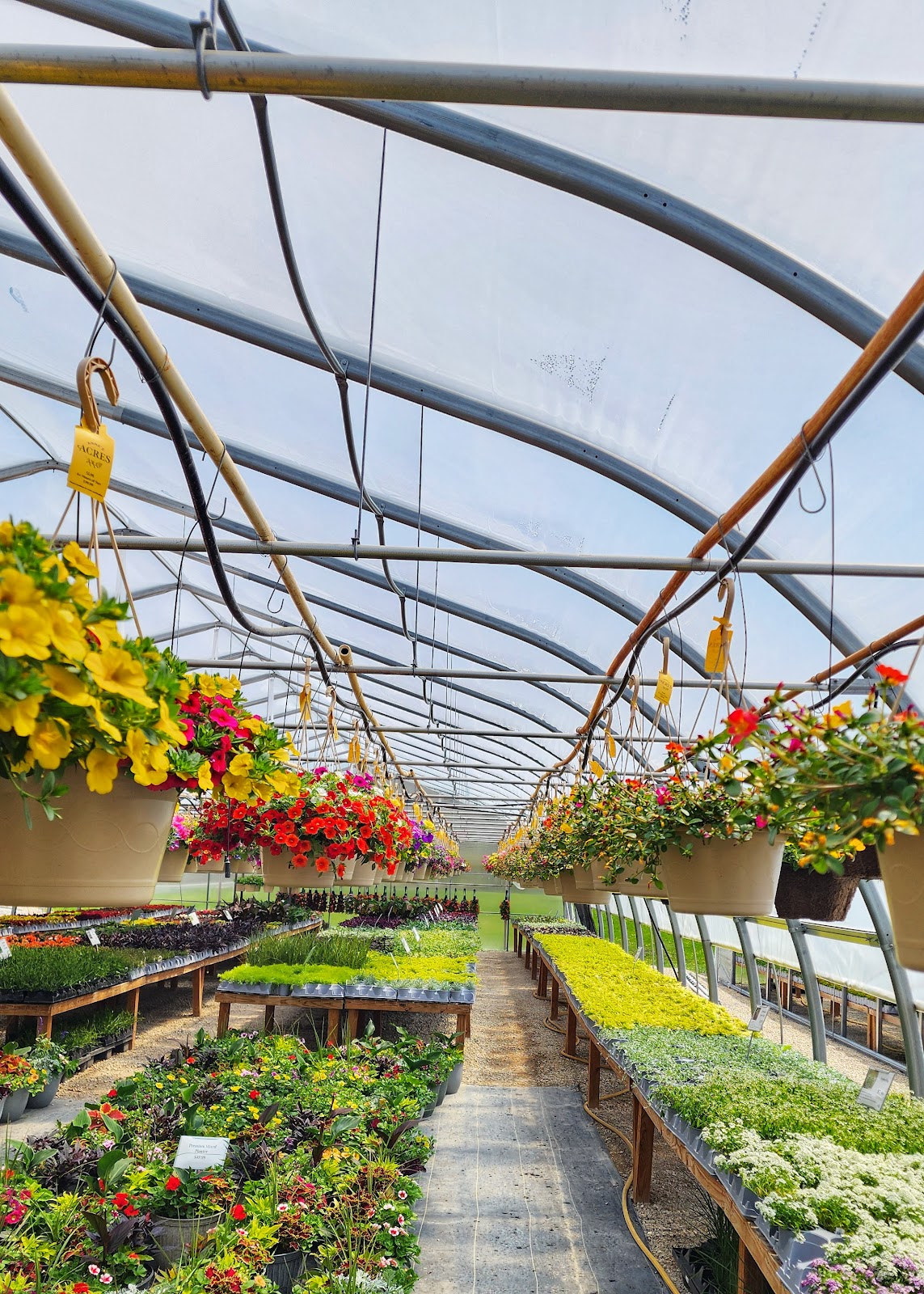 Anne's Acres Greenhouse