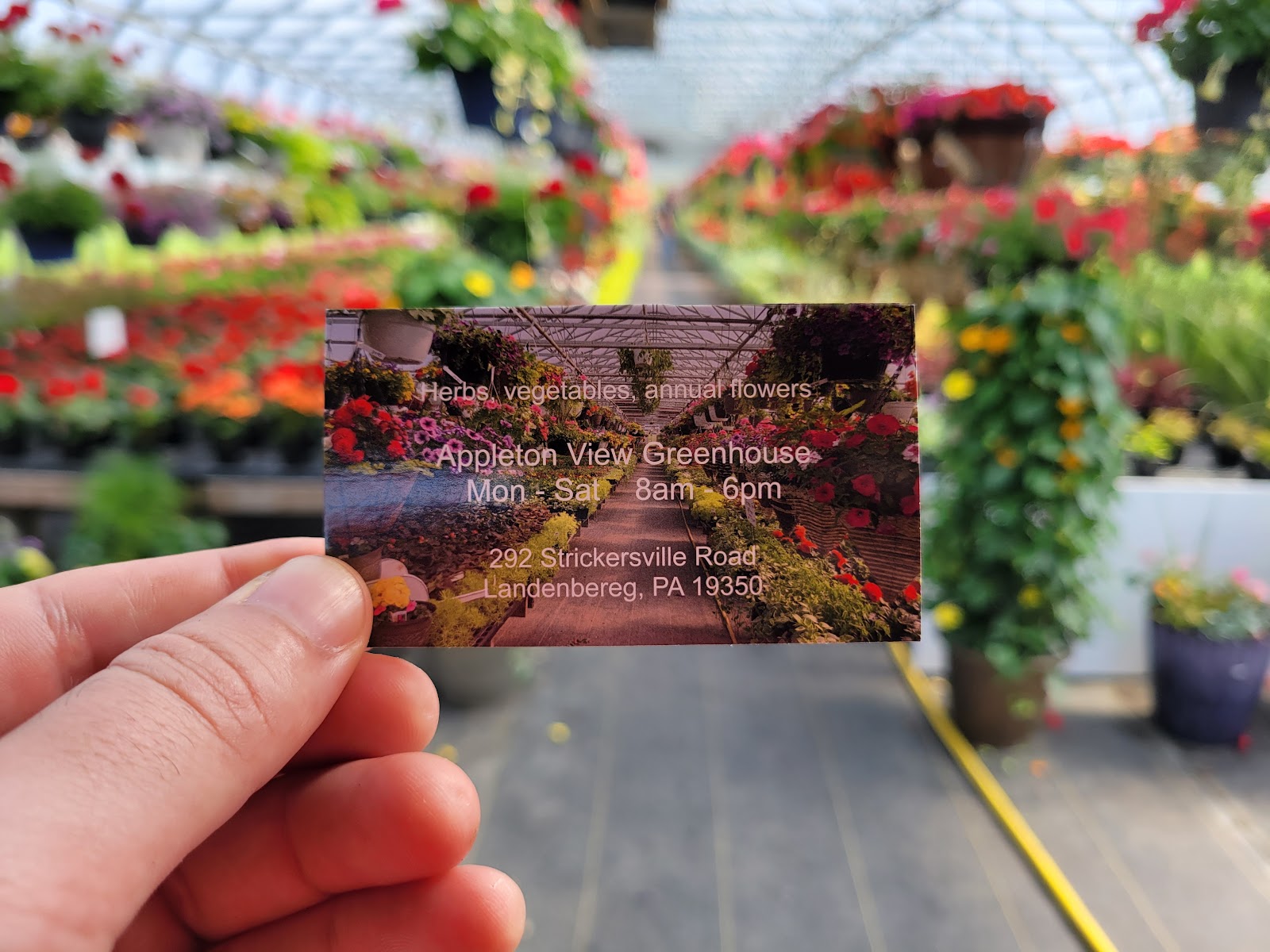 Appleton View Greenhouse