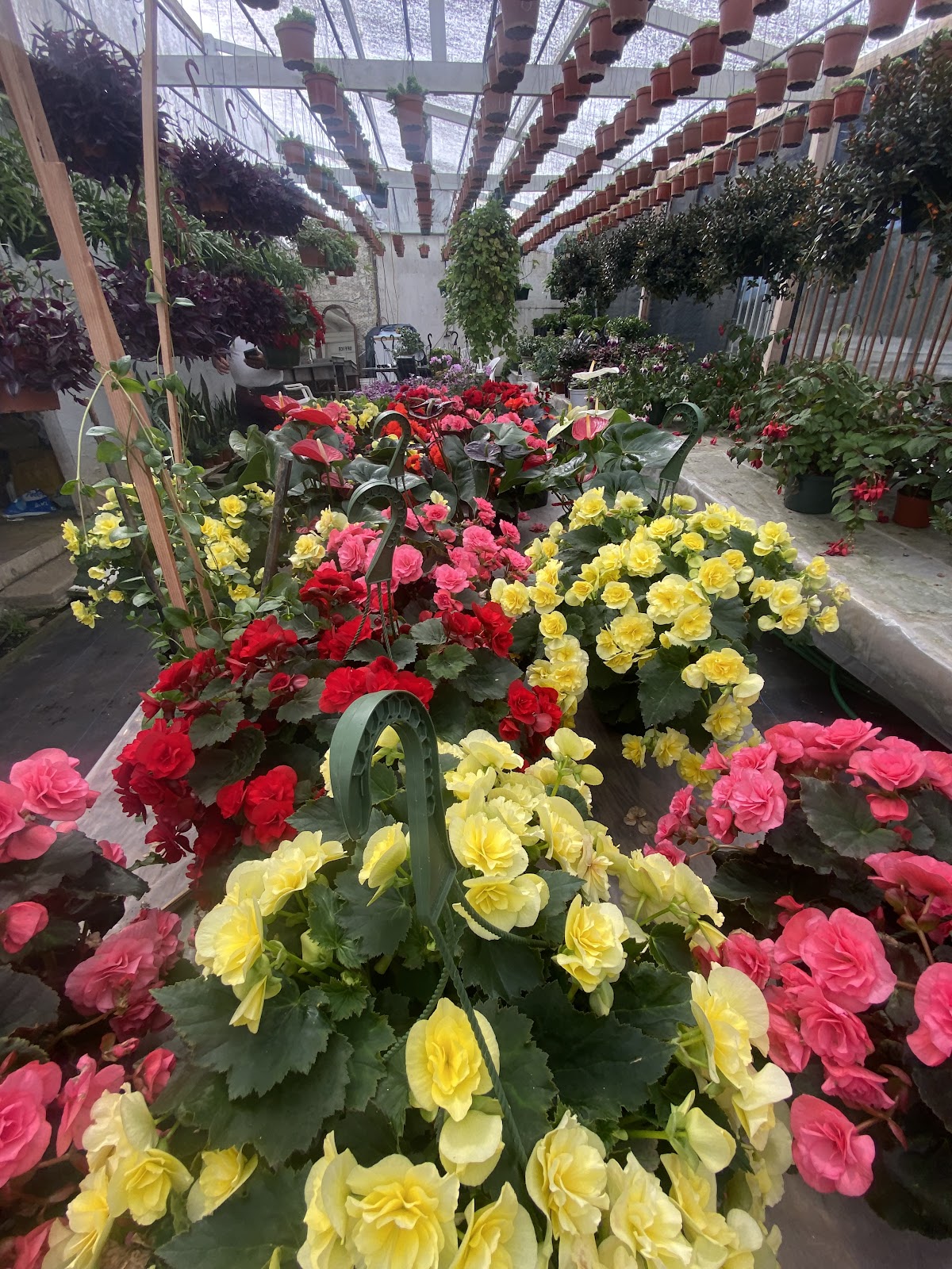 Aquino Greenhouse