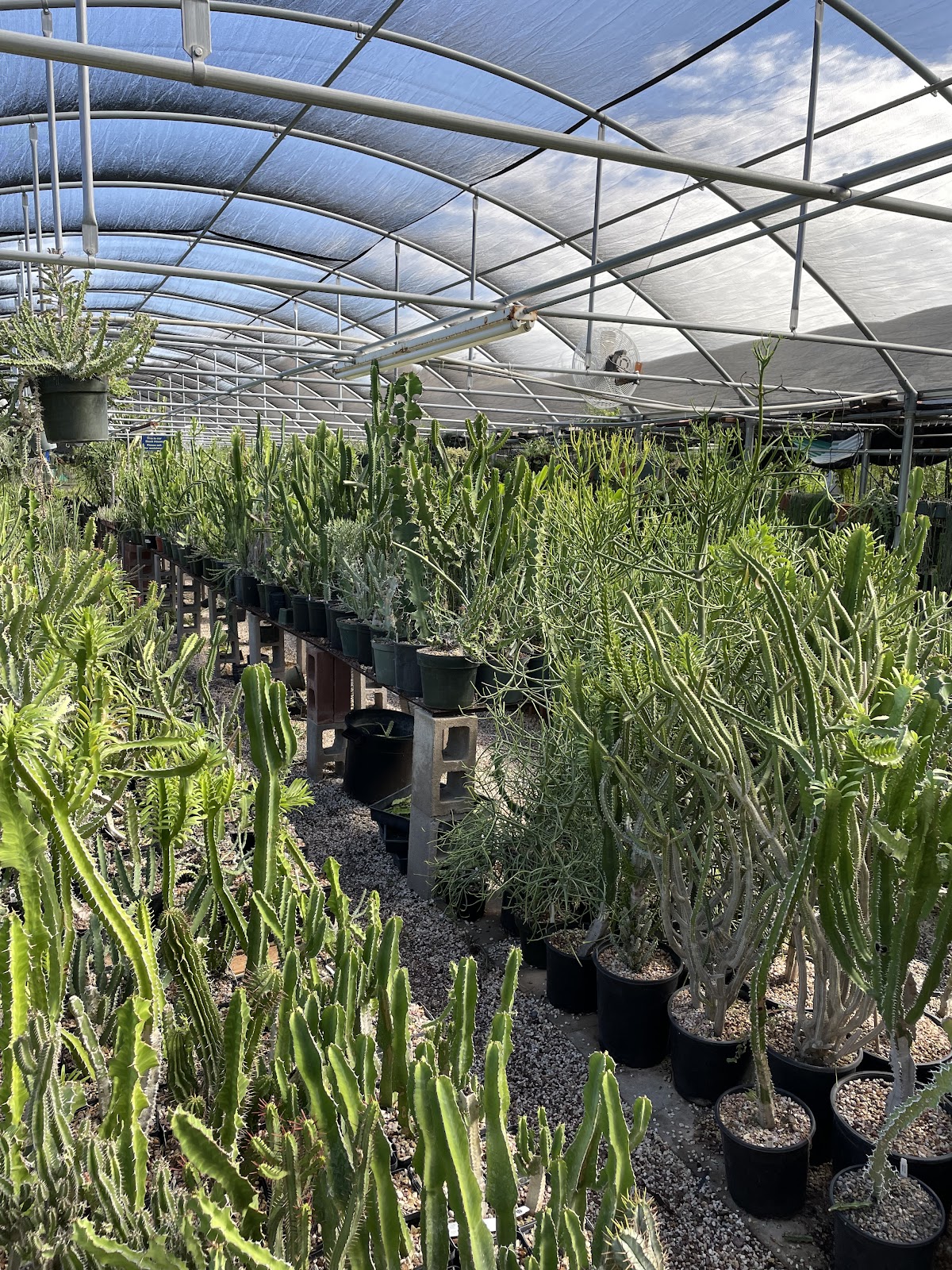 Arid Lands Greenhouses
