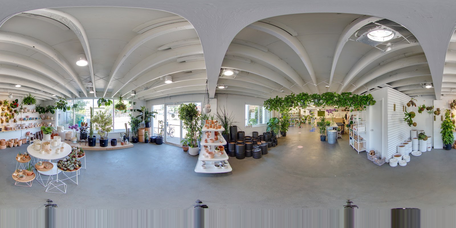 Arium Botanicals