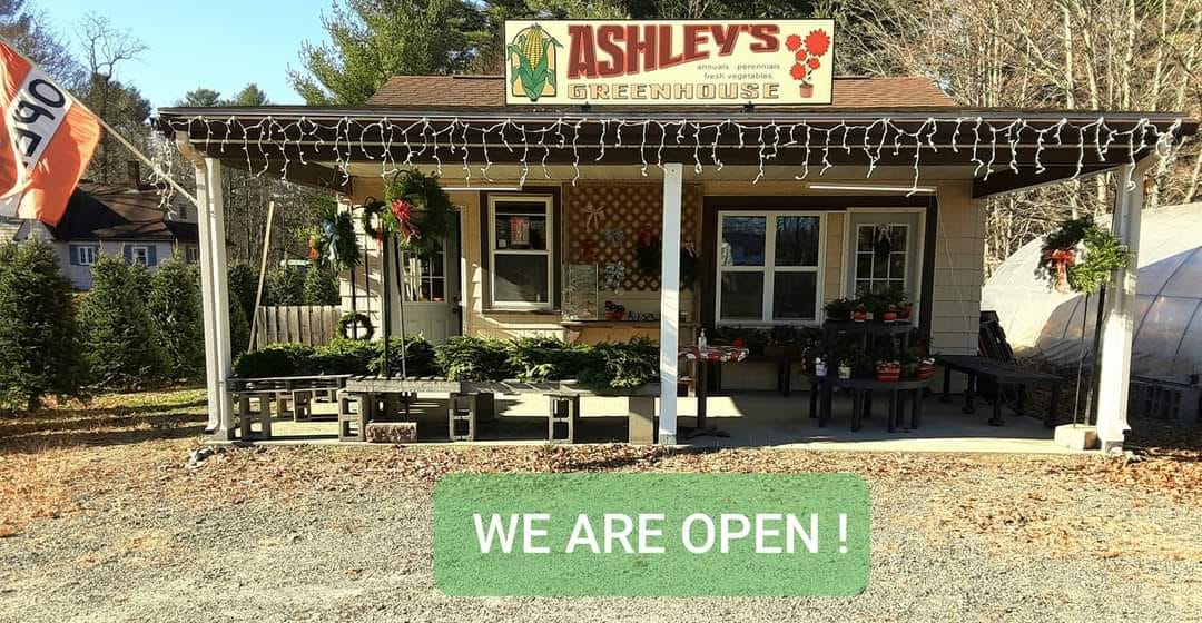 Ashley's Greenhouse
