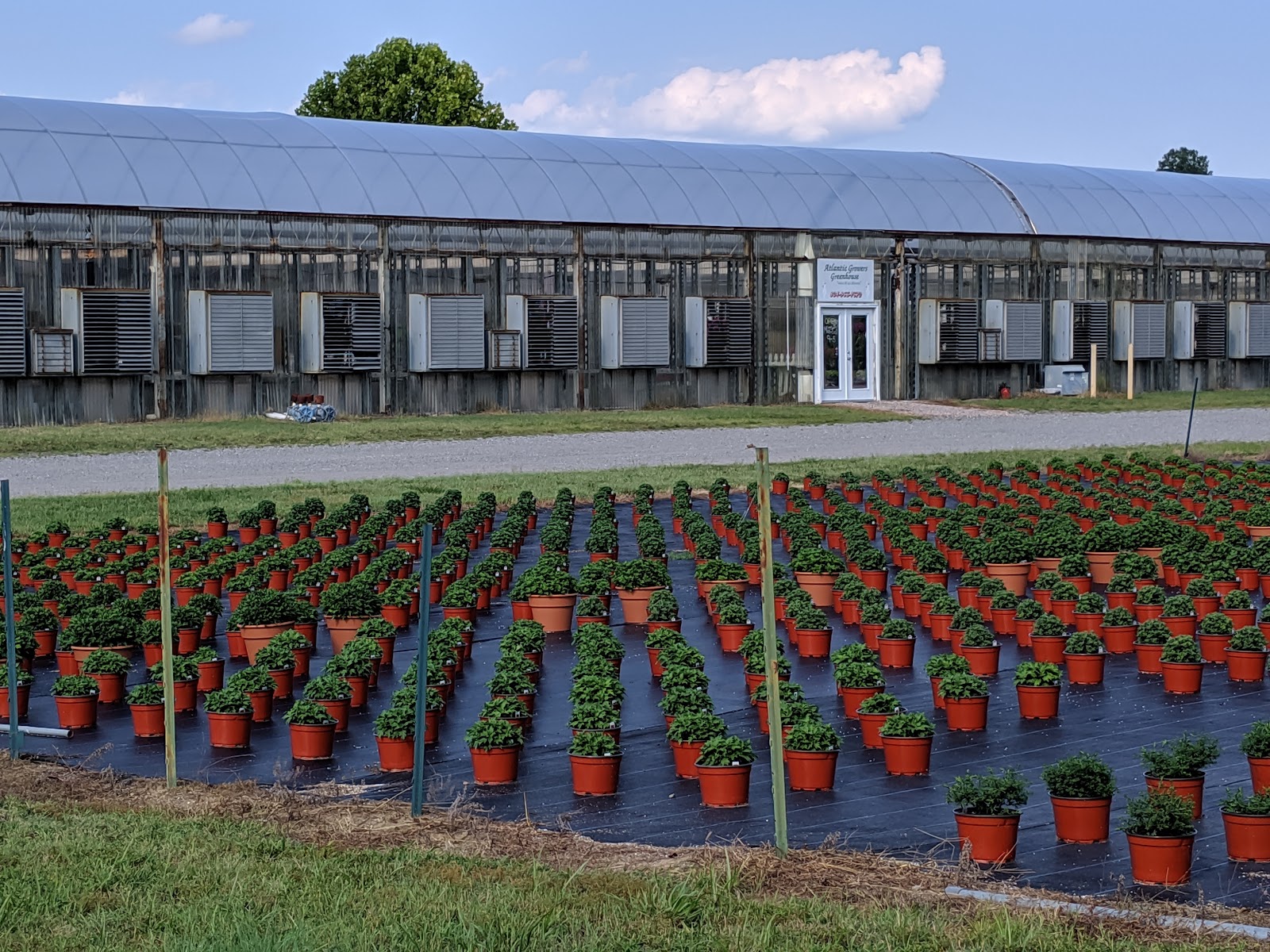 Atlantic Growers