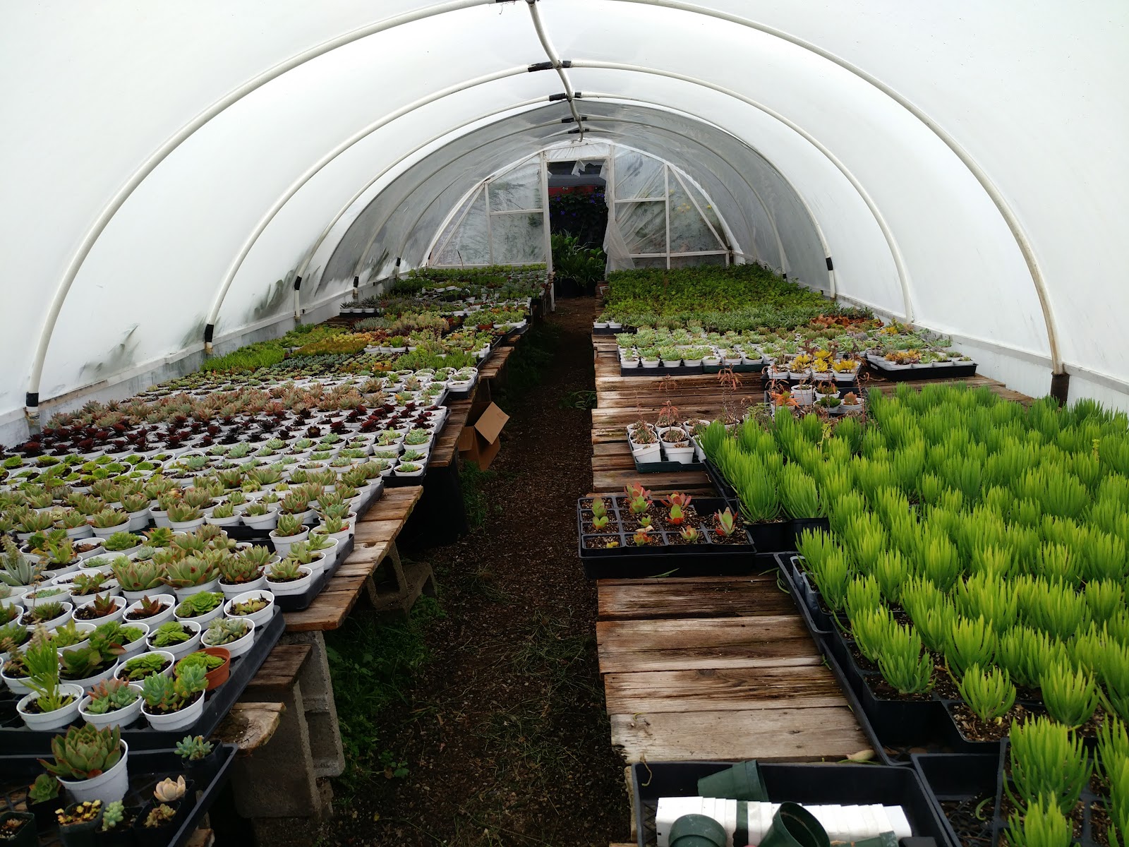 Azul and Verde Nursery