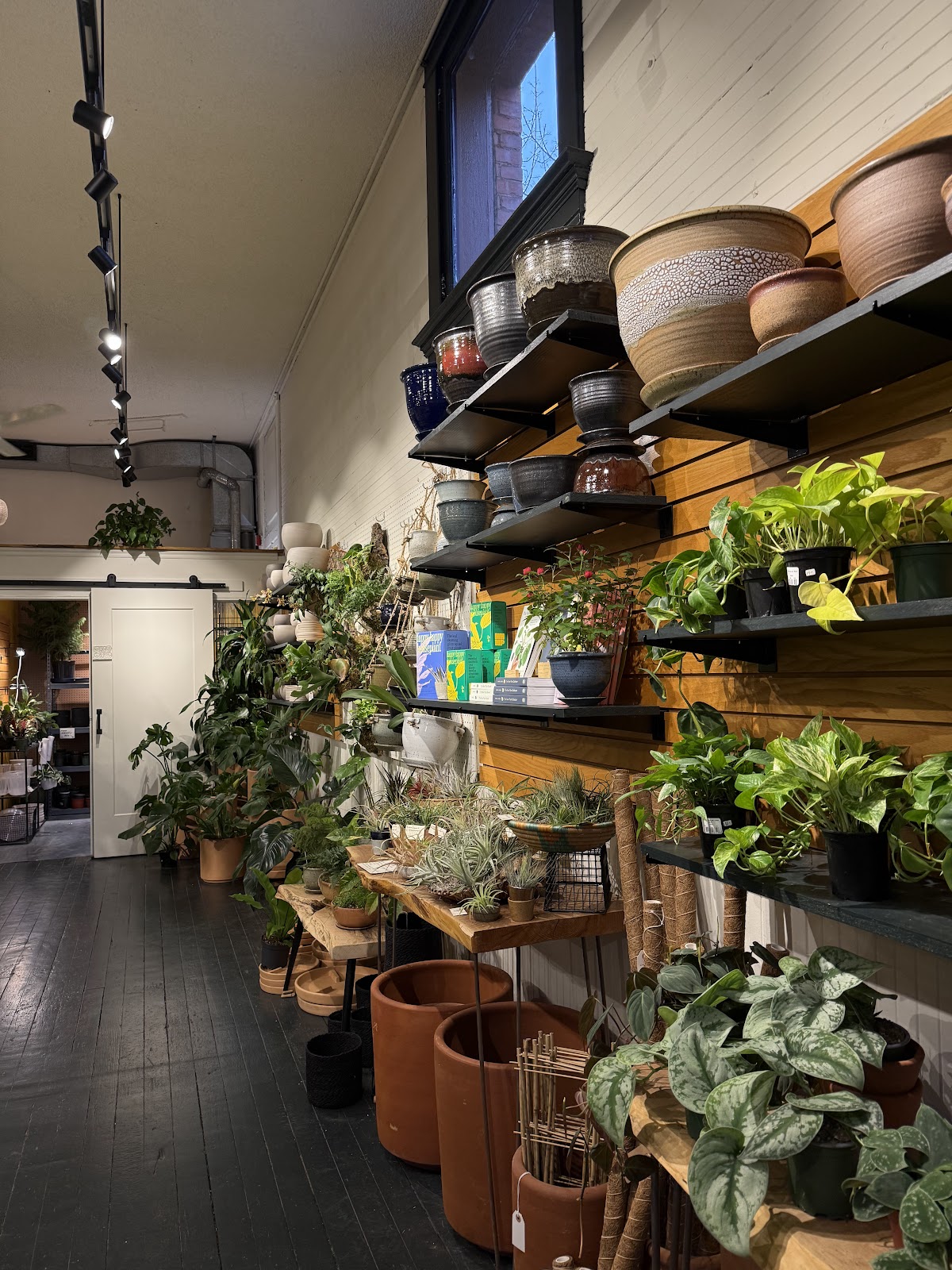 Babygreens Plant Shop