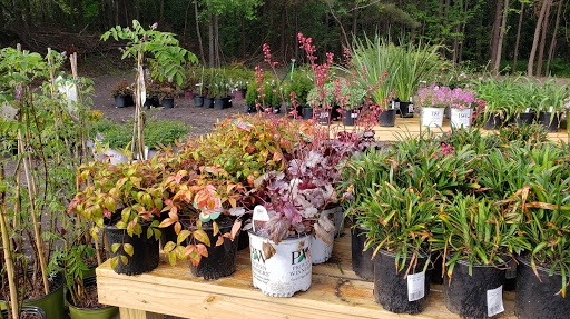 Back To Nature Garden Center