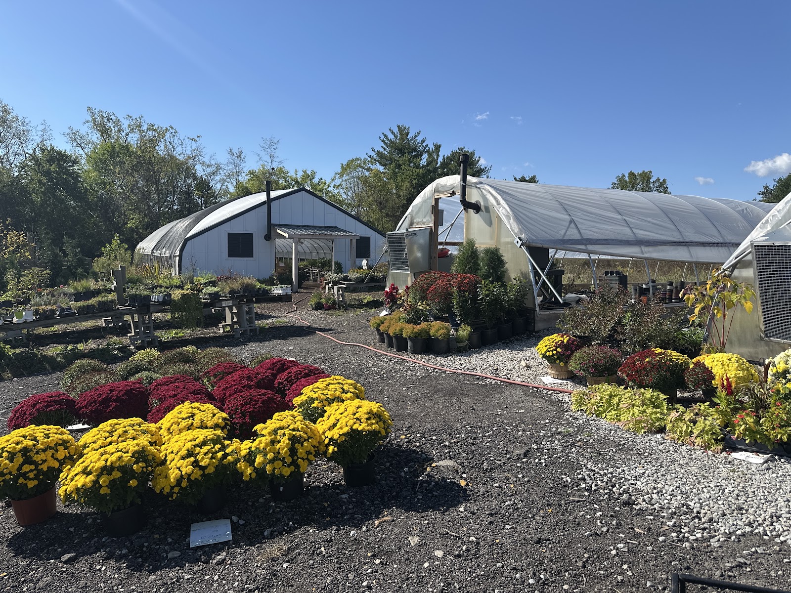 Bale Kenyon Family Farms and Greenhouse