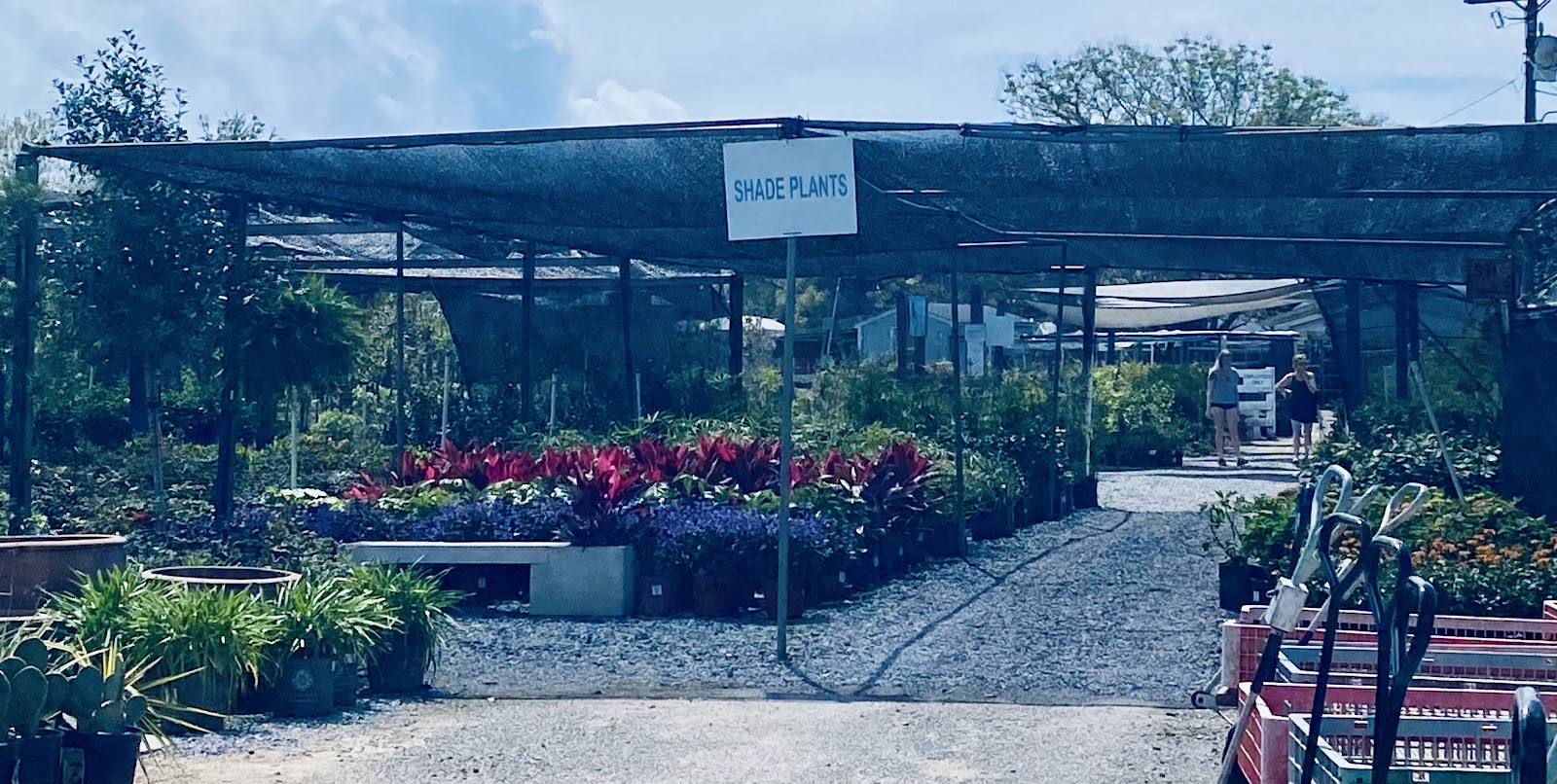 Banting's Nursery