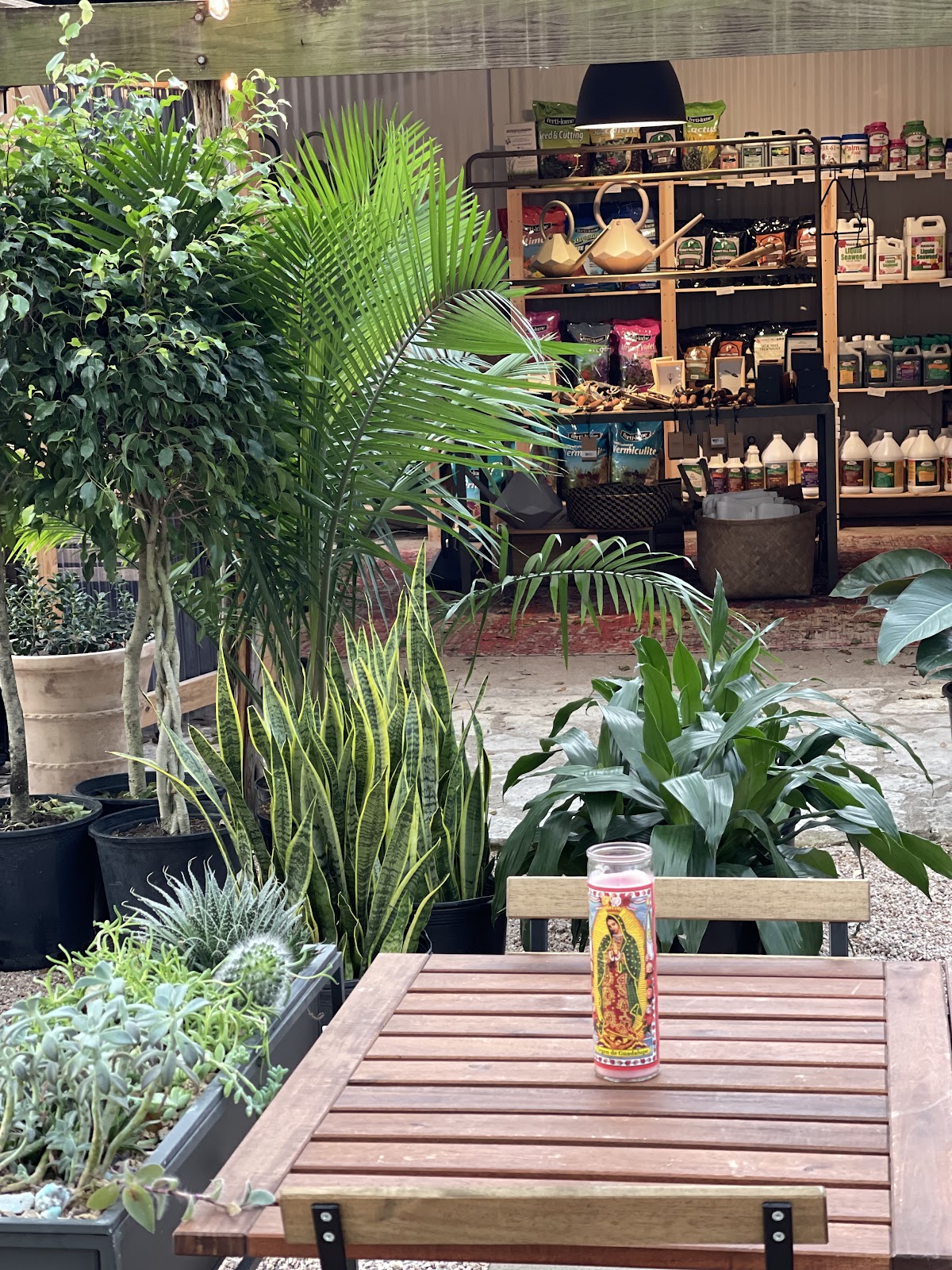 Barton Springs Nursery