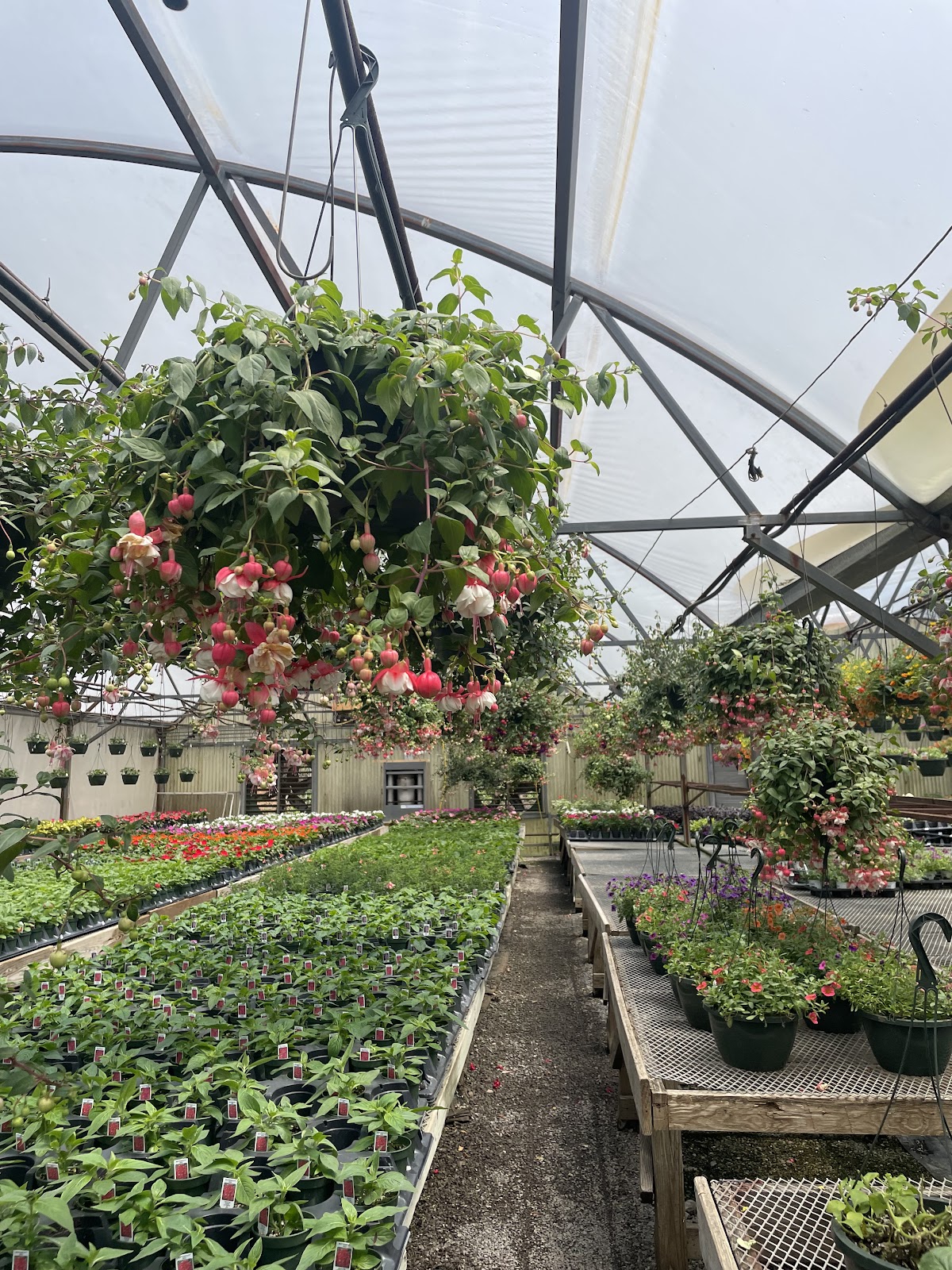 Bartsch Gardens