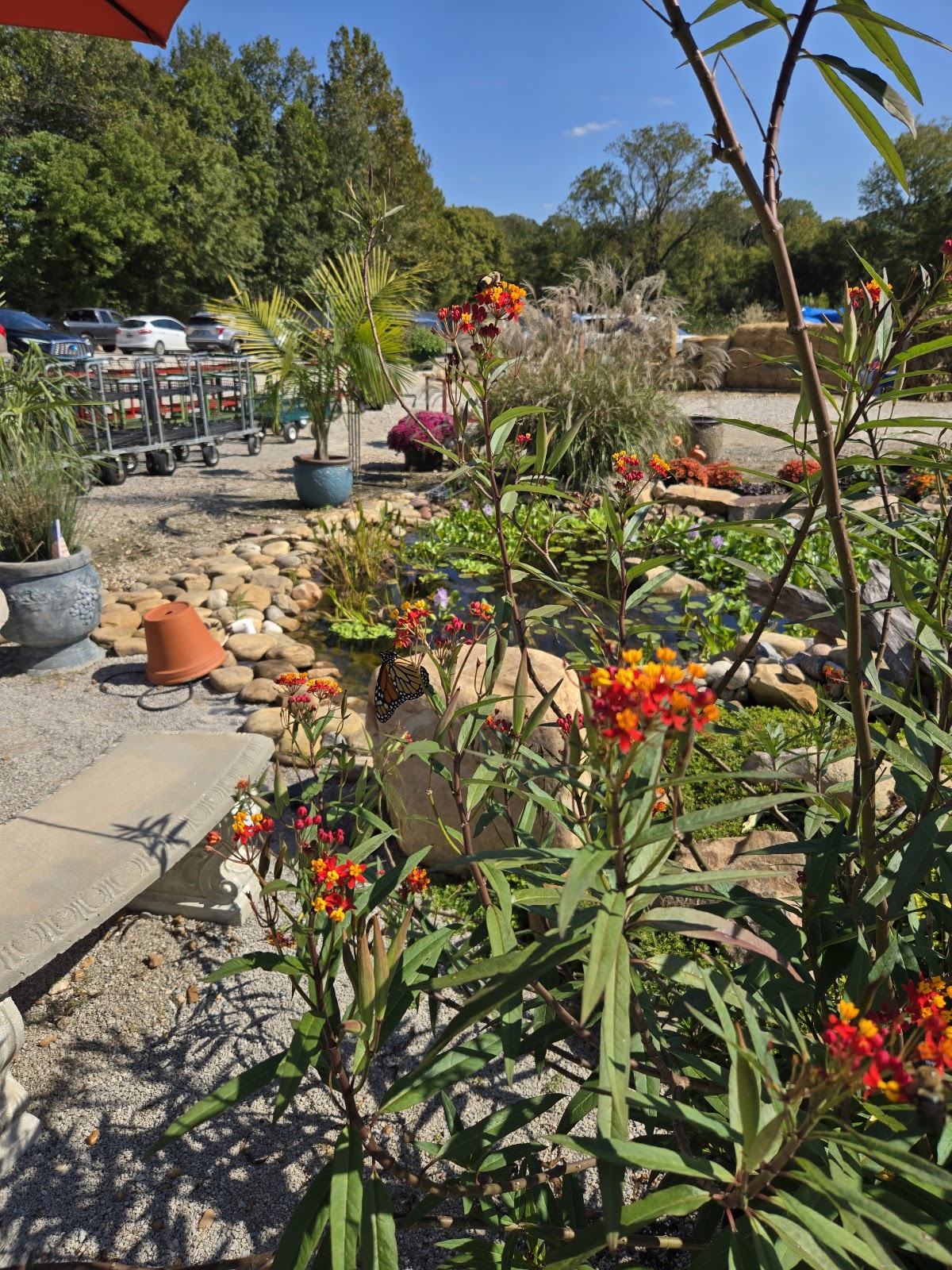 Bayless Greenhouse
