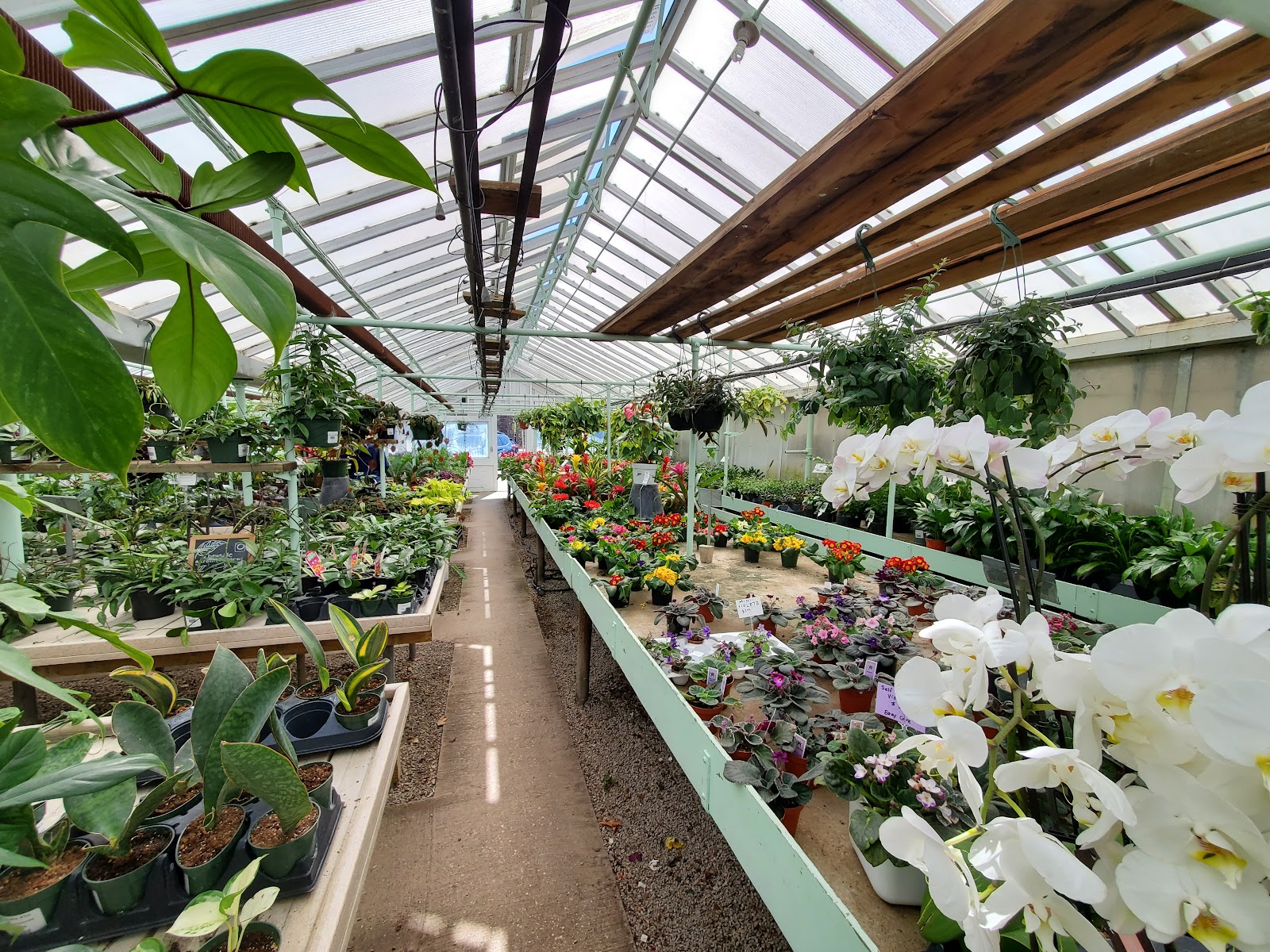 Bayside Garden Center