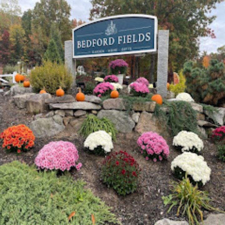 Bedford Fields