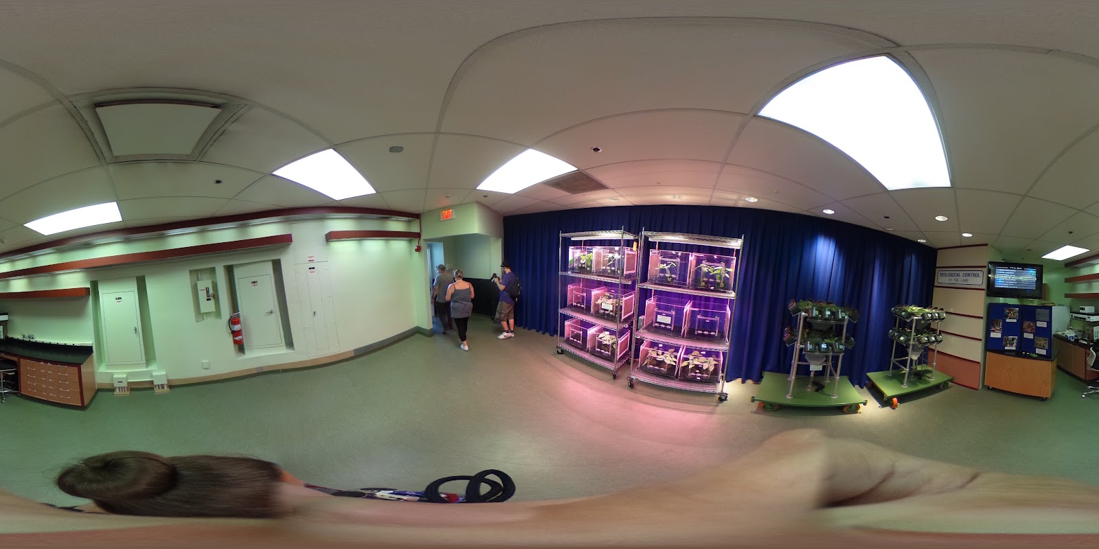Behind The Seeds Greenhouse Tour