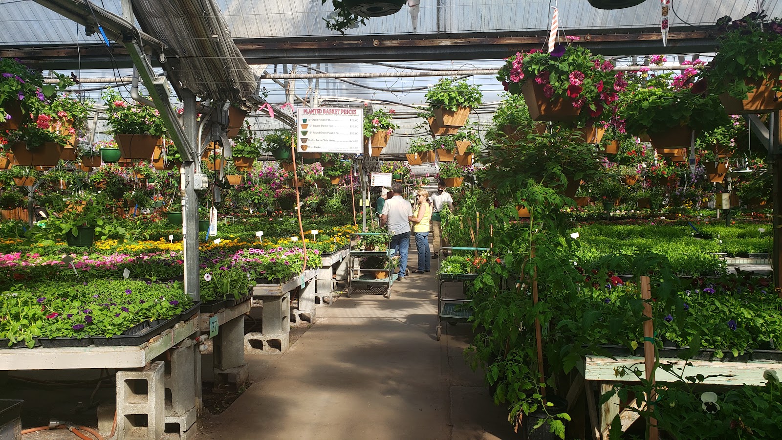 Bell’s Nursery
