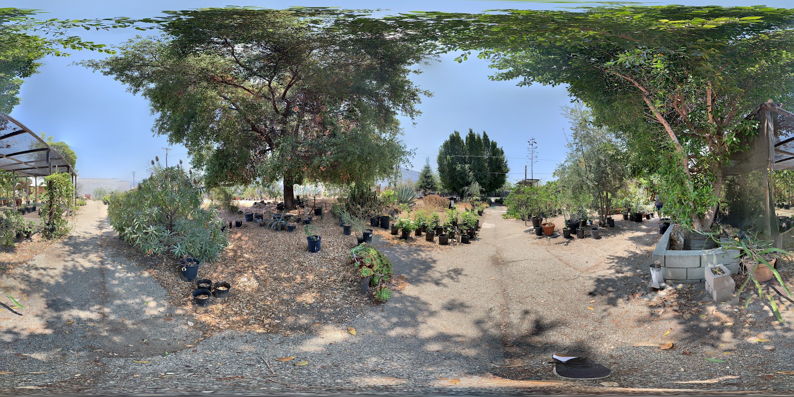 Bellefontaine Nursery