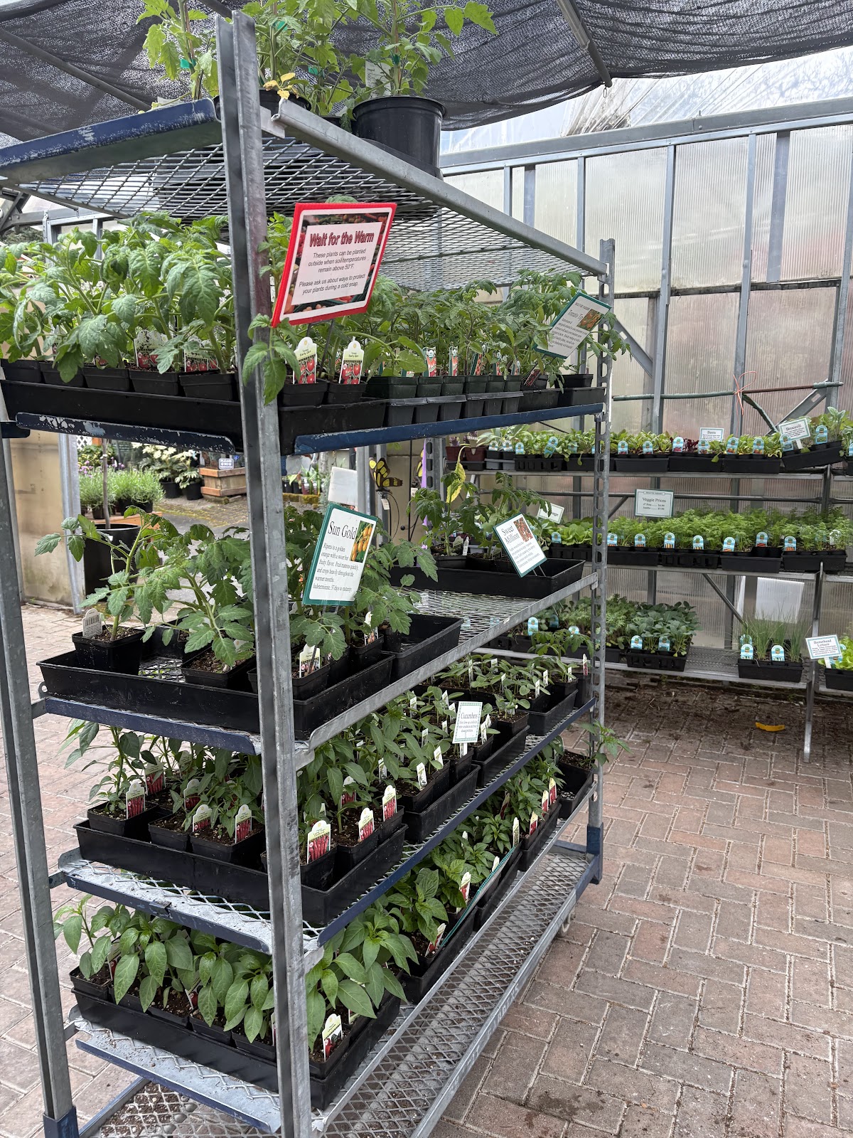 Bellevue Nursery