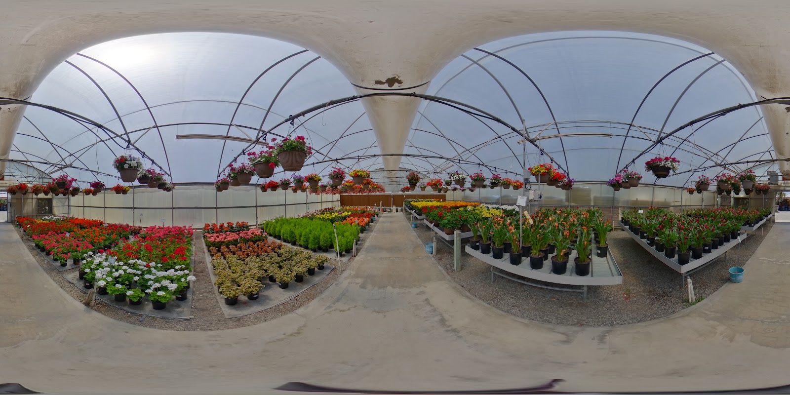 Belmont Nursery