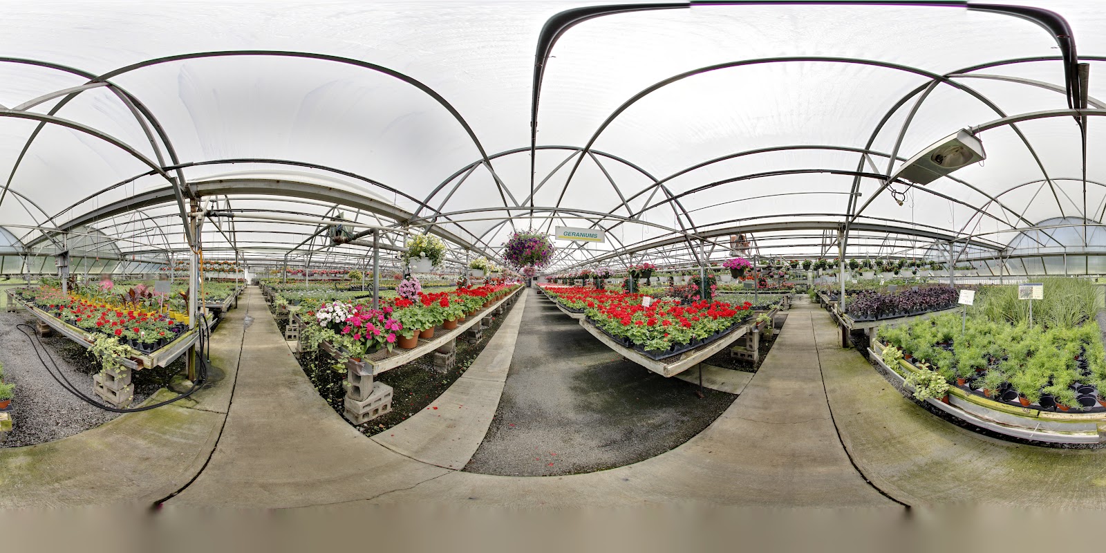 Bengert Greenhouses