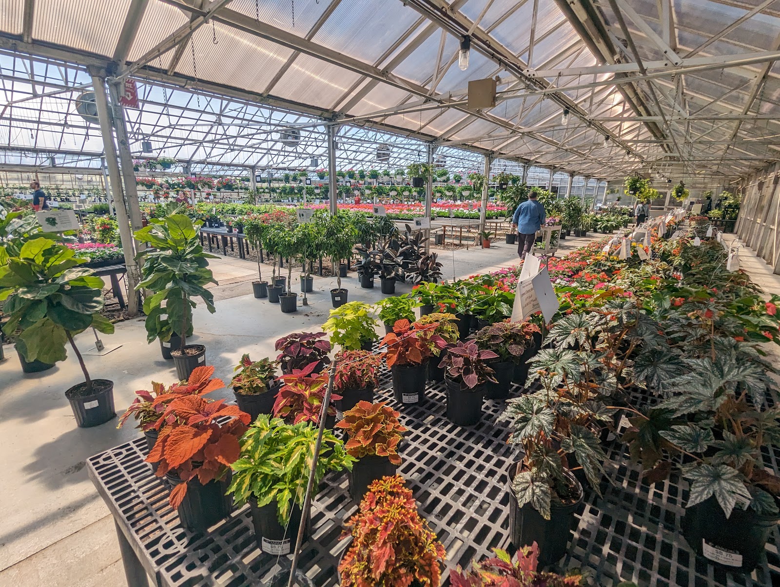 Bennett's Greenhouse