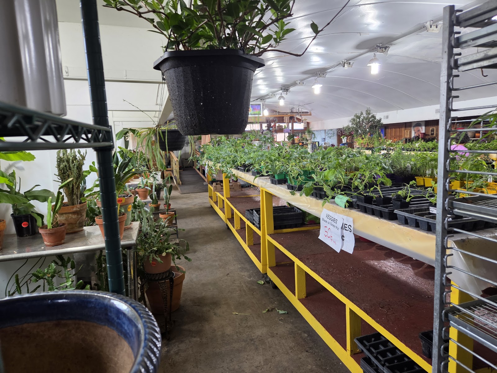 Benson Plant Rescue