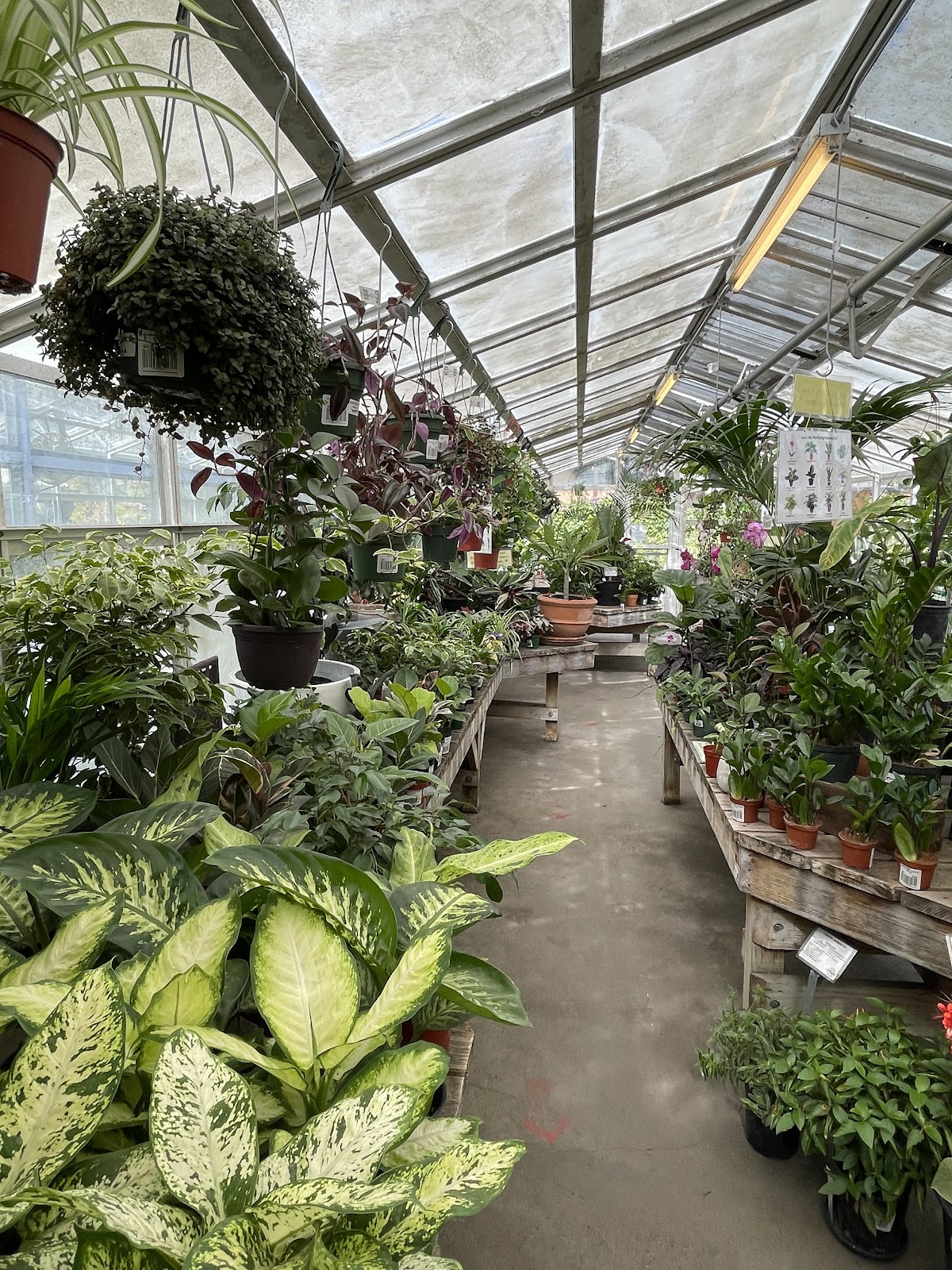 Berkeley Horticultural Nursery