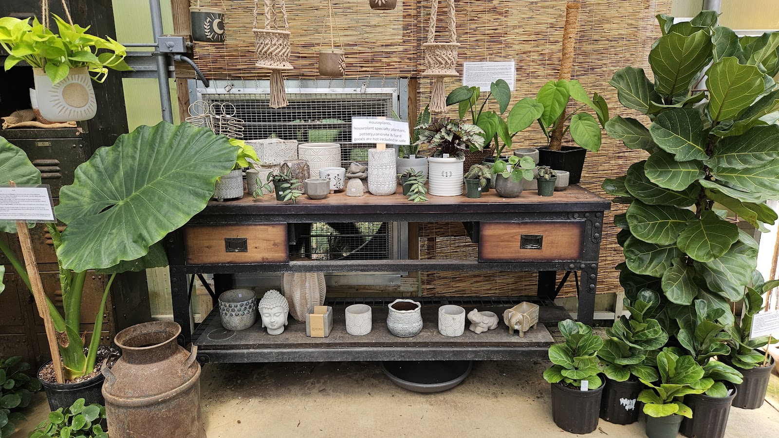 Bernacchi's Oak Valley Greenhouses