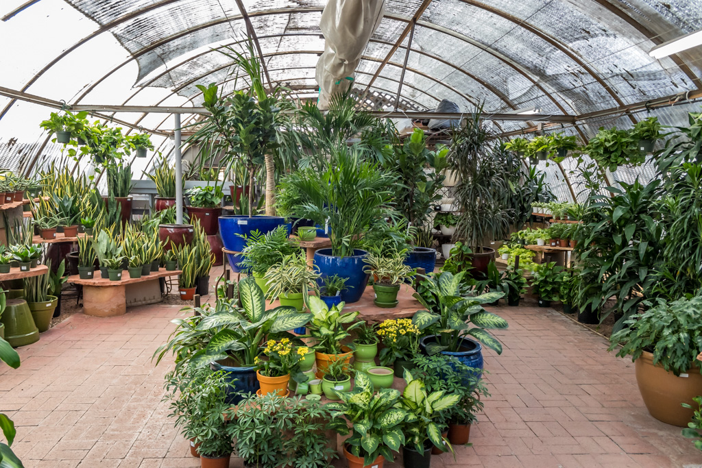 Berridge Nurseries