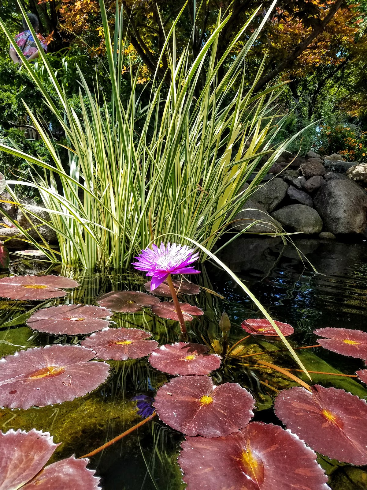 Better Homes and Gardens Test Garden