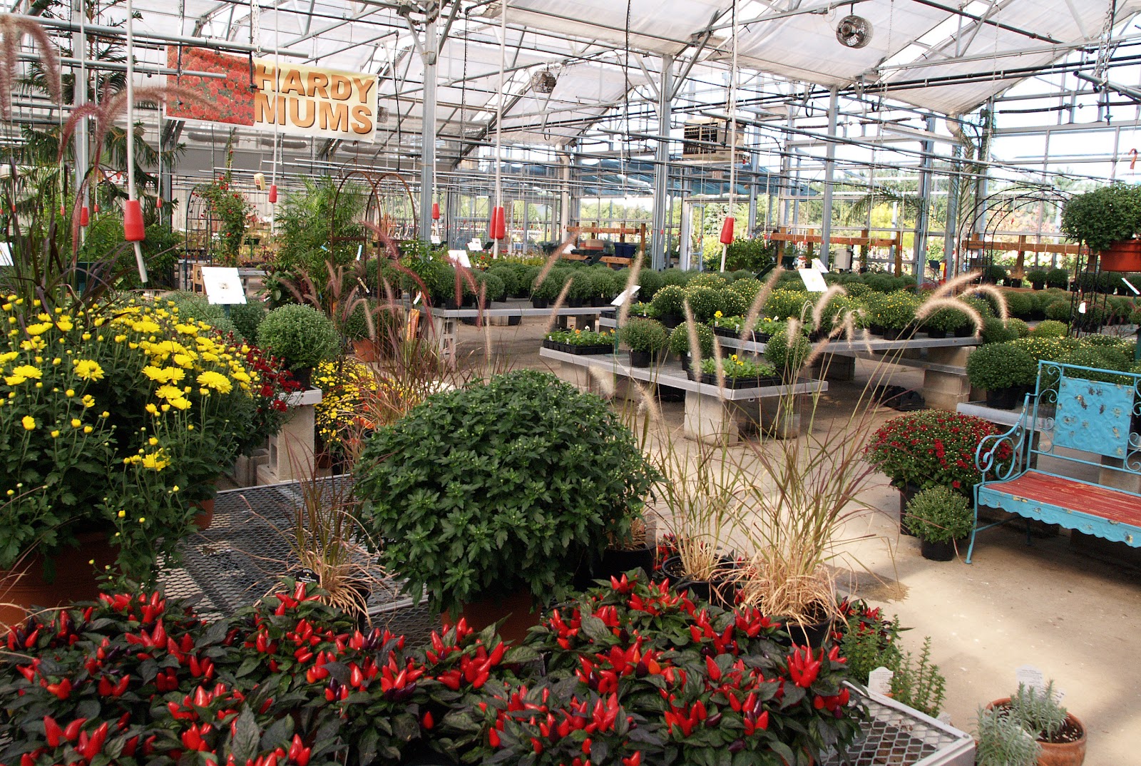 Black Diamond Garden Center