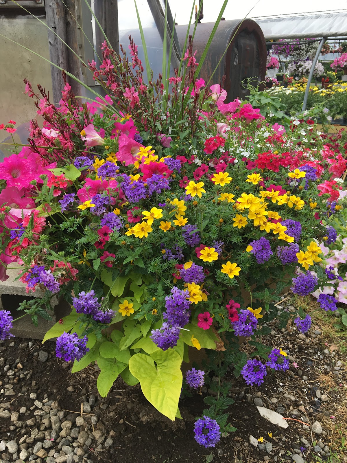Blackstone River farm